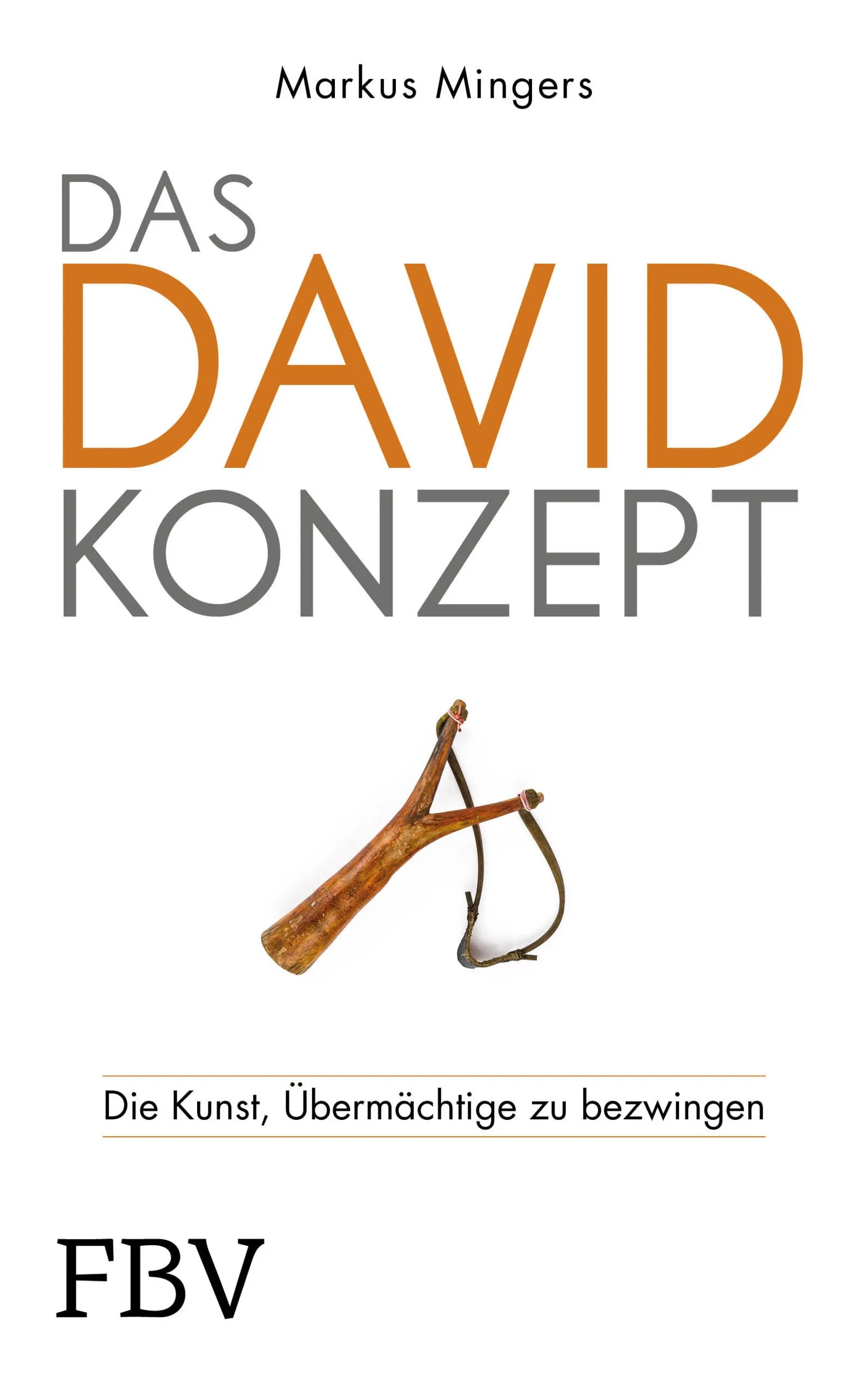 Buchcover von 'Das David-Konzept' - Gebundene Ausgabe von Markus Mingers