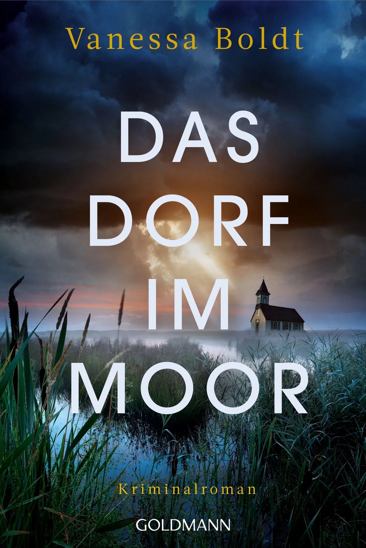 Cover: Das Dorf im Moor (Taschenbuch) von Vanessa Boldt