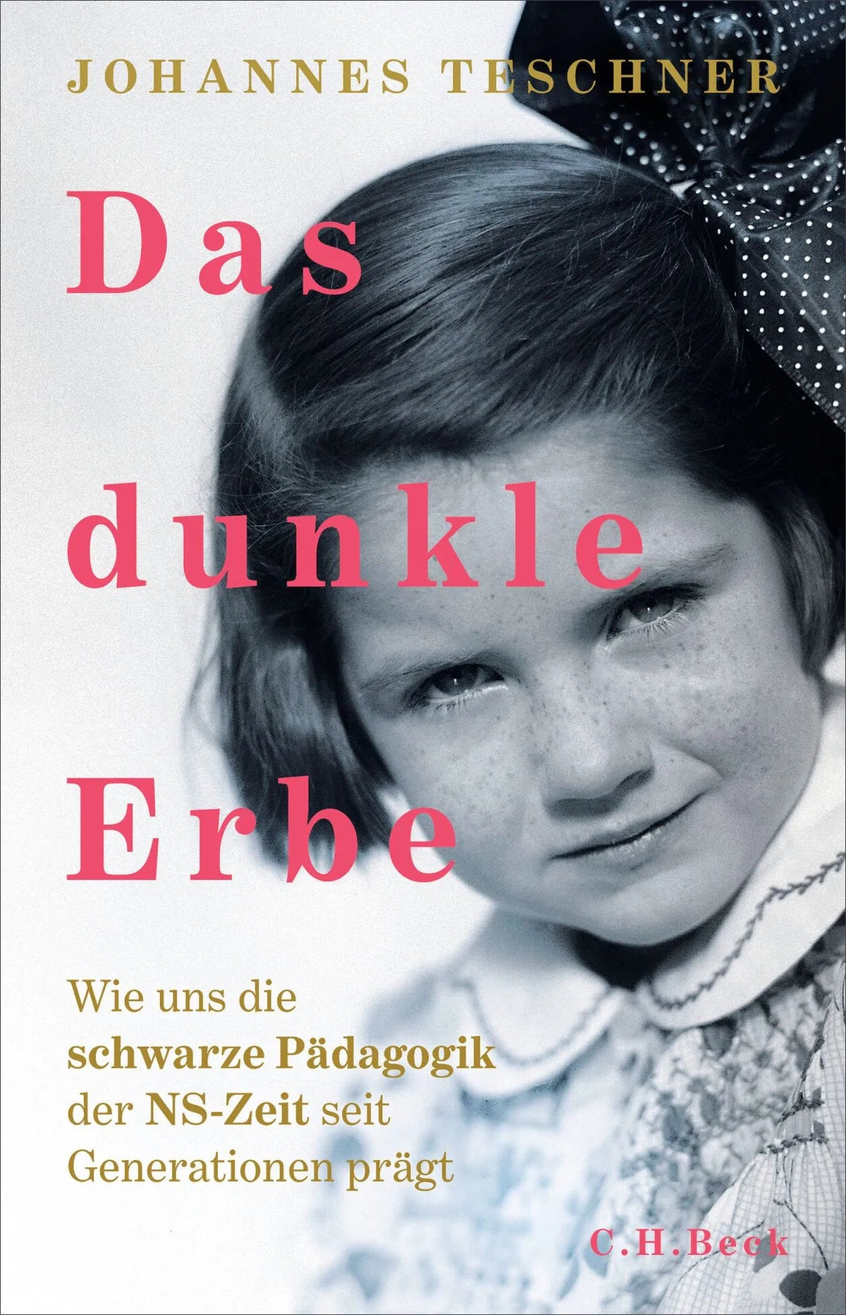 Cover: Das dunkle Erbe (Hardcover) von Johannes Teschner