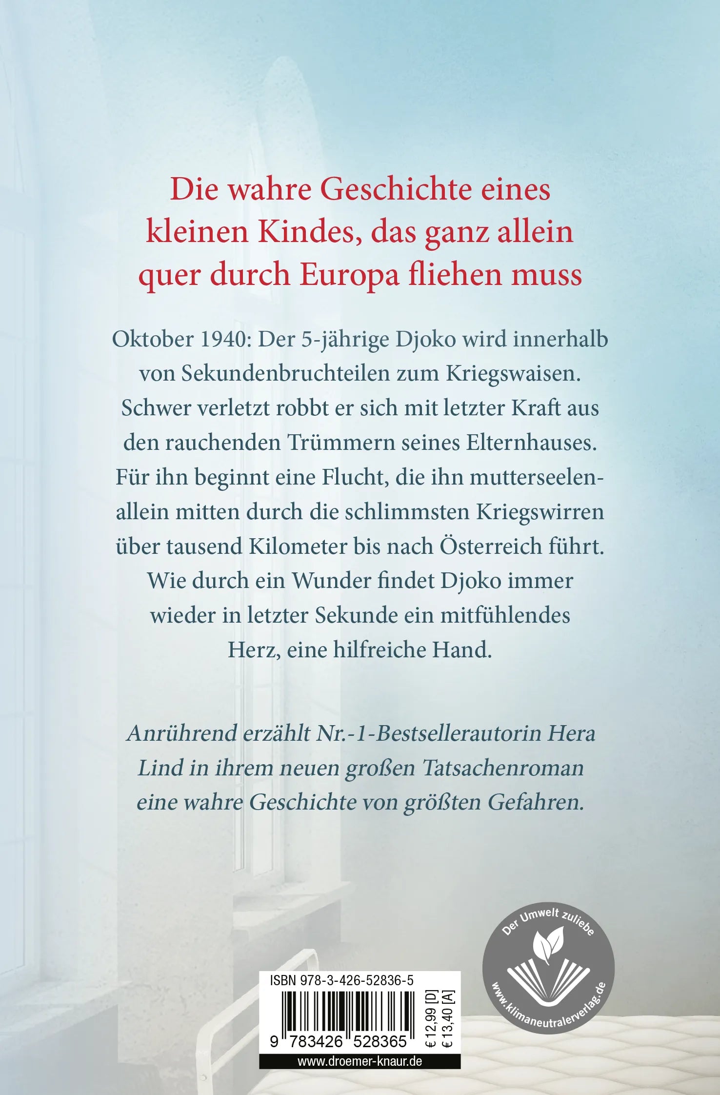 Buchrückseite von 'Das einzige Kind' mit Klappentext - Taschenbuch