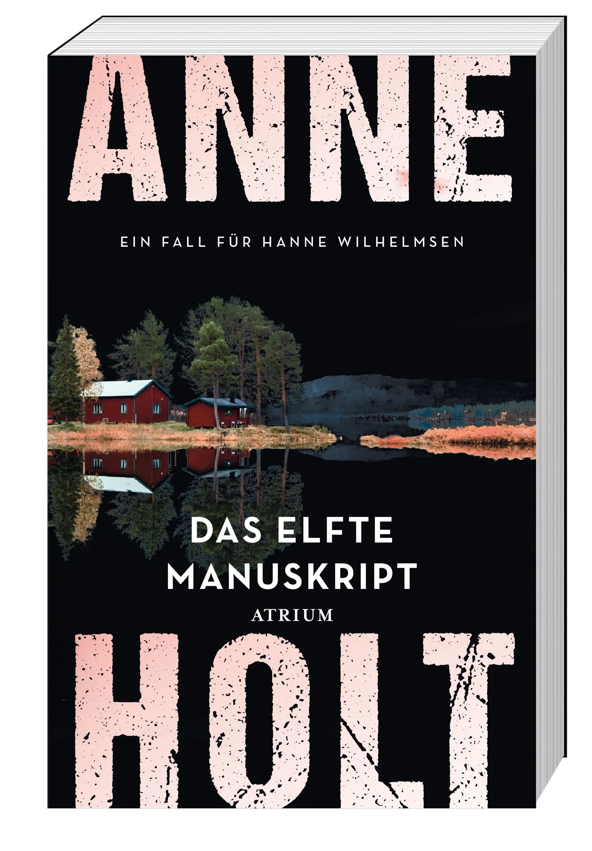 Detailansicht: Das elfte Manuskript (Taschenbuch)