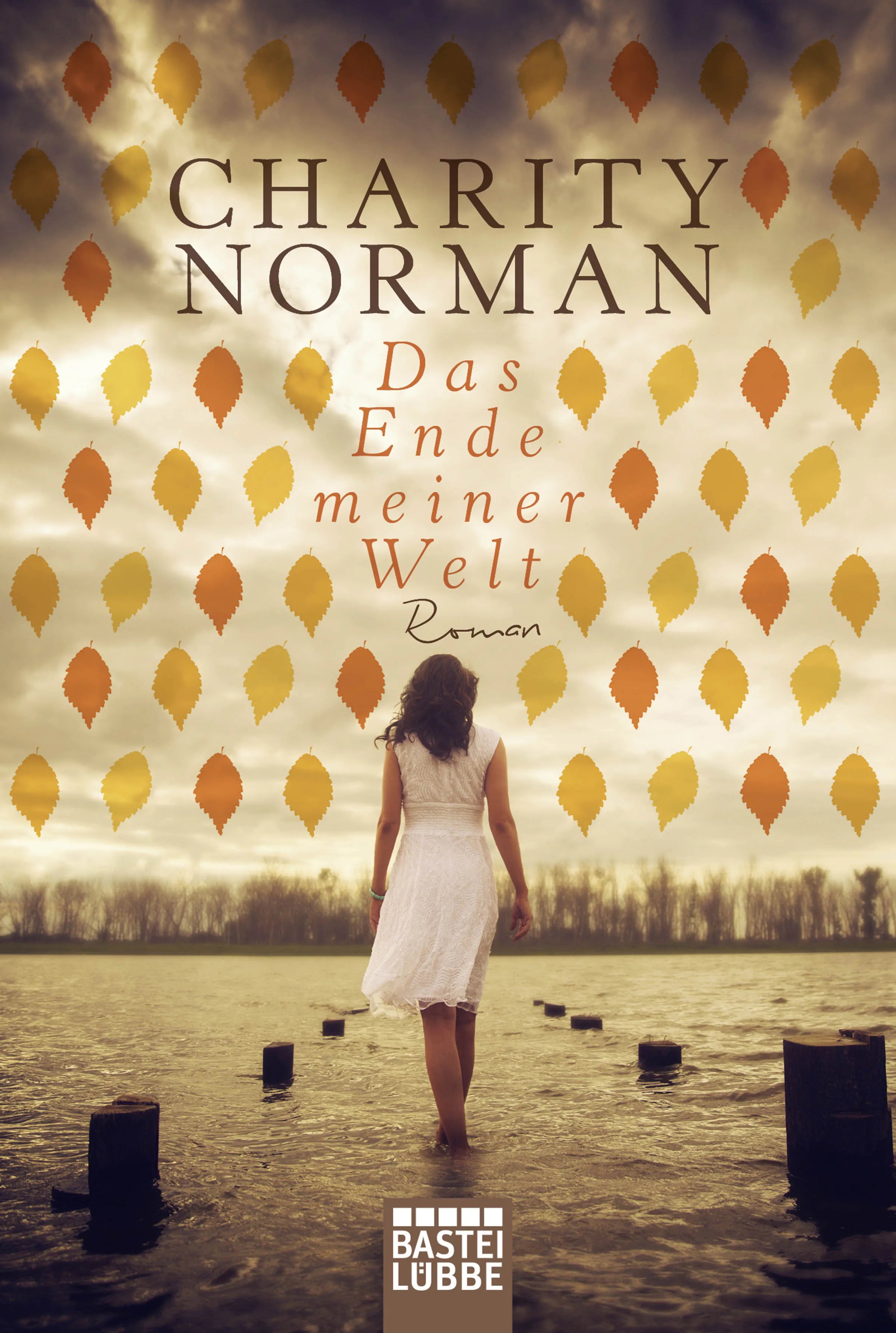 Buchcover von 'Das Ende meiner Welt' - Taschenbuch von Charity Norman