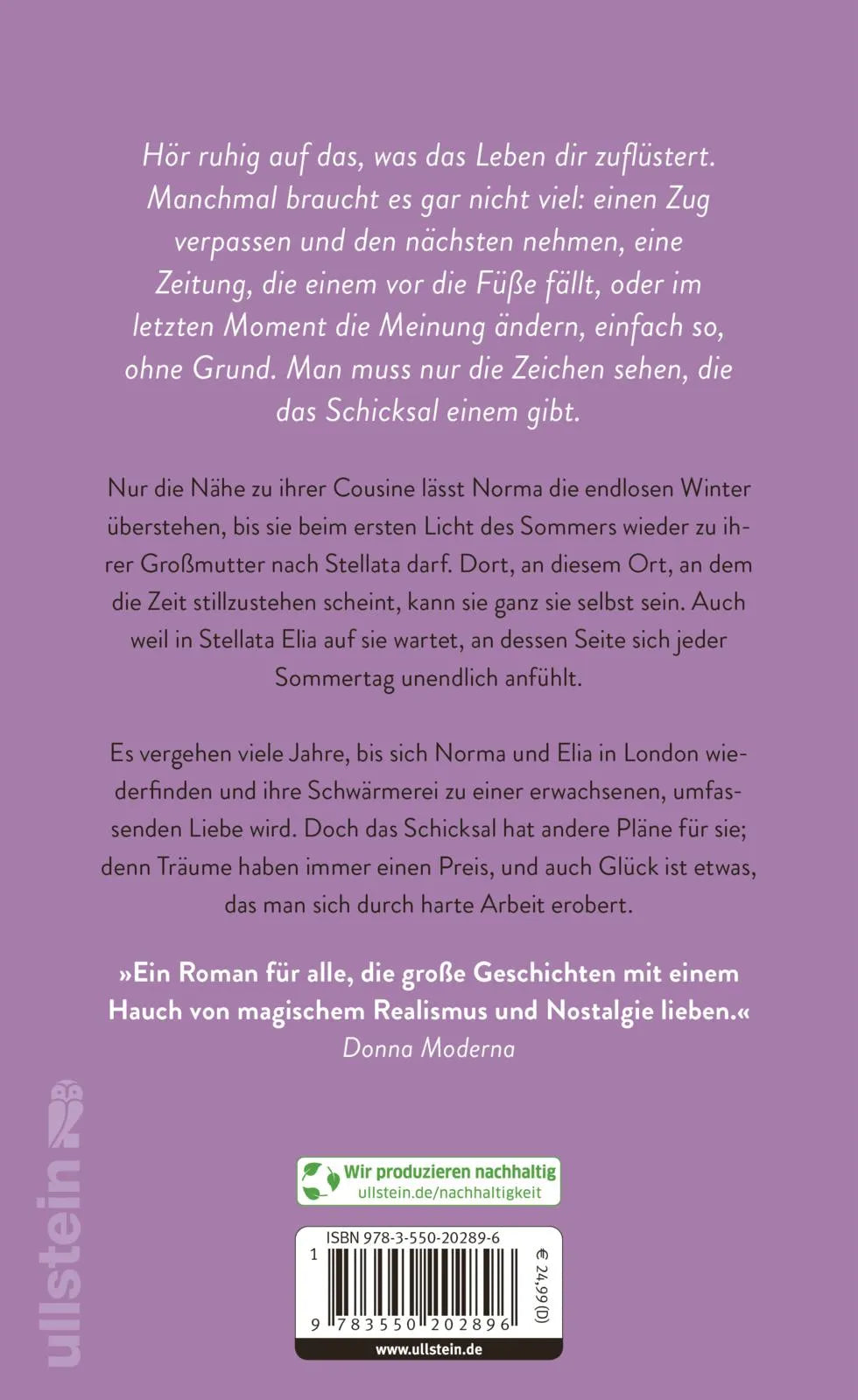 Buchrückseite von 'Das erste Licht des Sommers' mit Klappentext - Gebundene Ausgabe