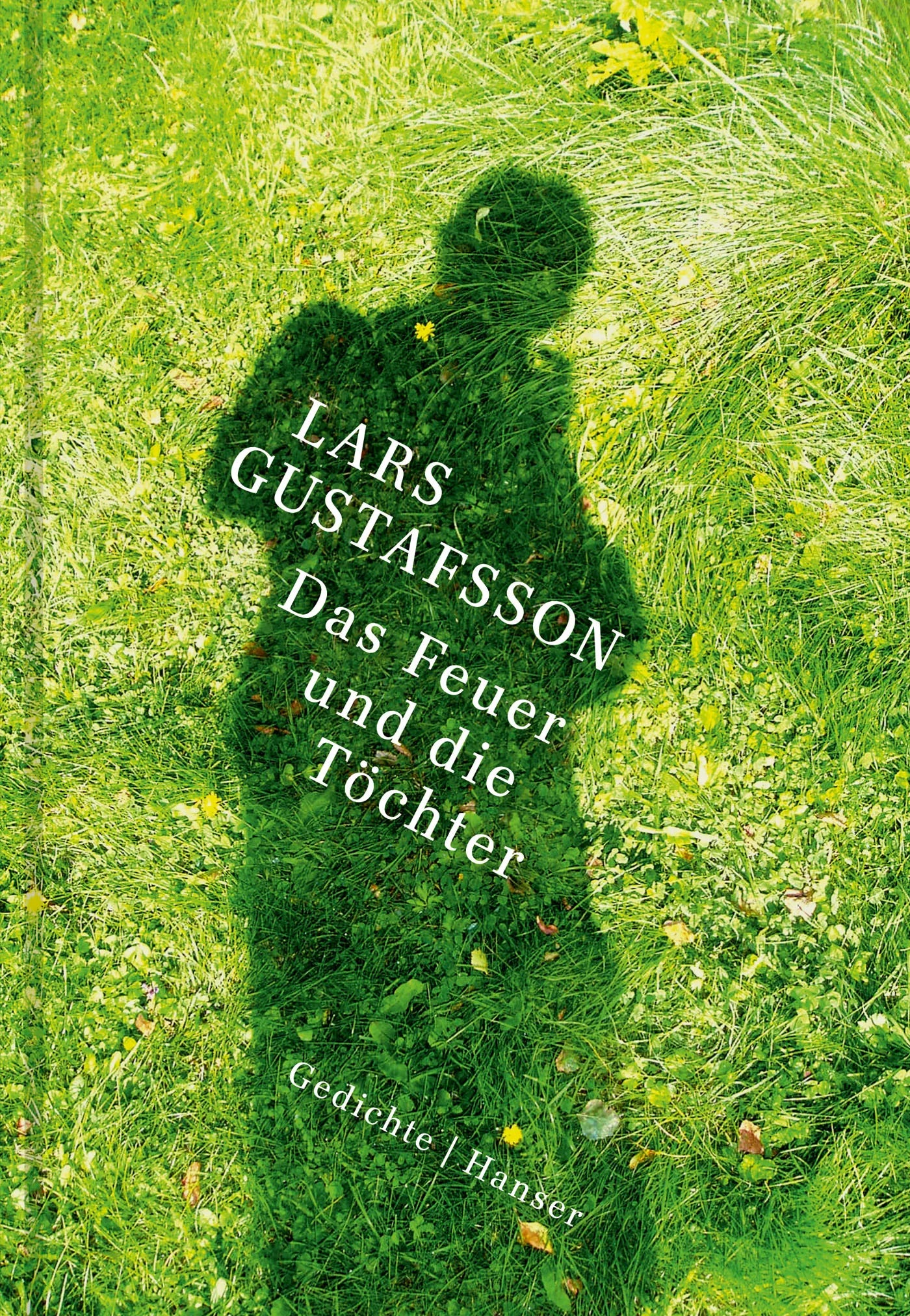 Buchcover von 'Das Feuer und die Töchter' - Gebundene Ausgabe von Lars Gustafsson