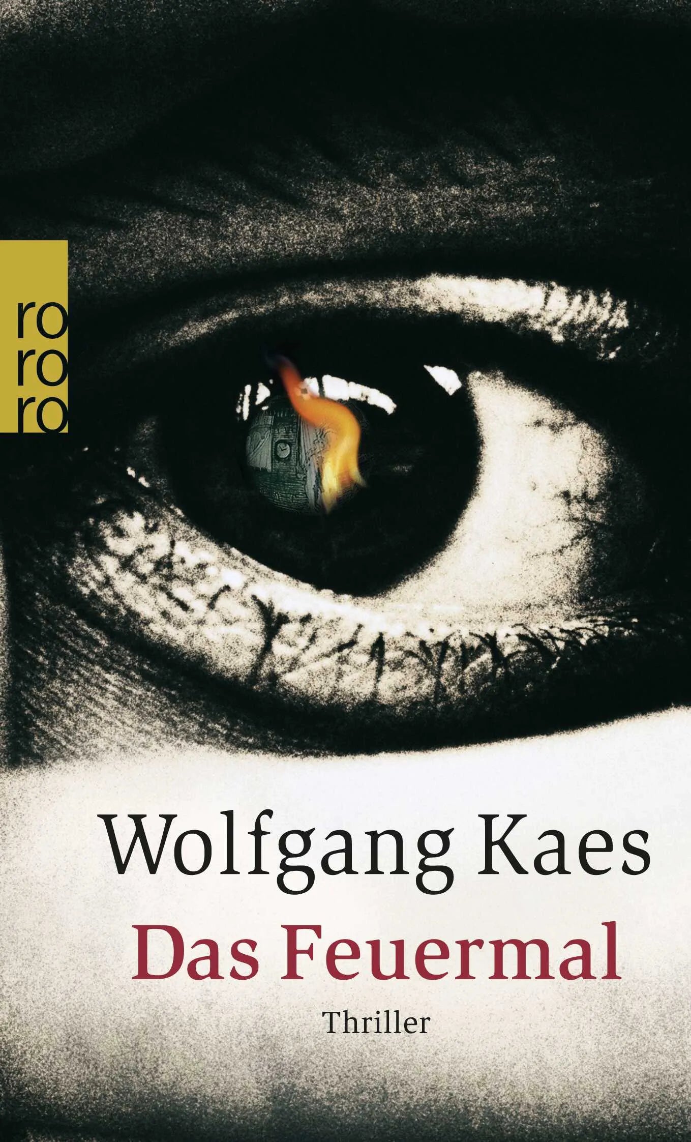 Buchcover von 'Das Feuermal' - Taschenbuch von Wolfgang Kaes