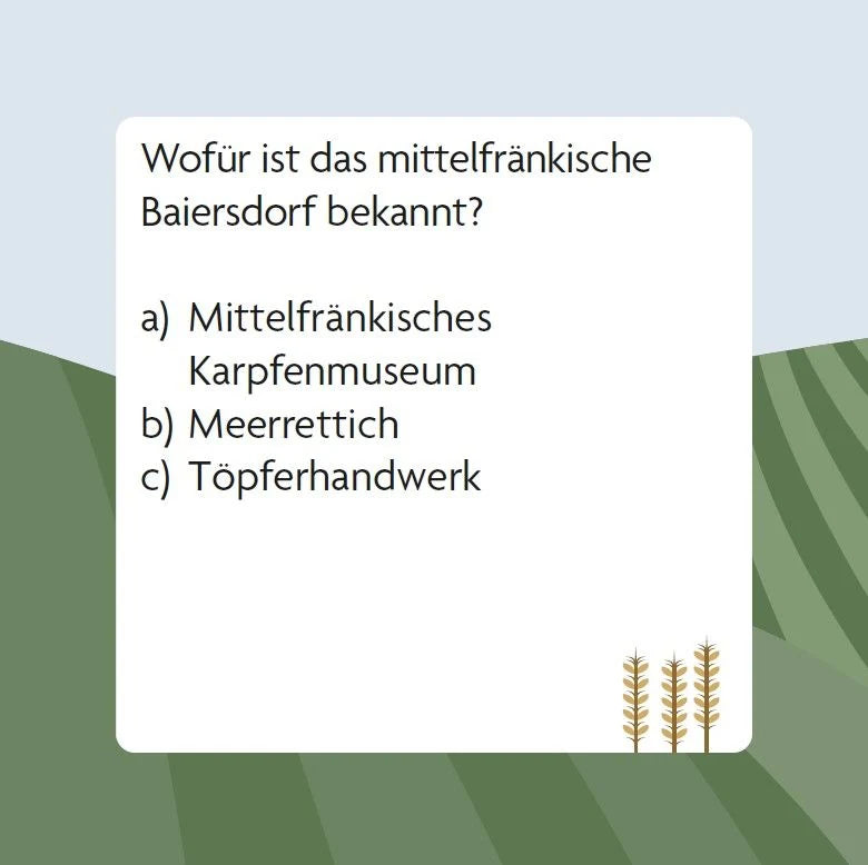Das Franken-Quiz (Neuausgabe) – Ansicht