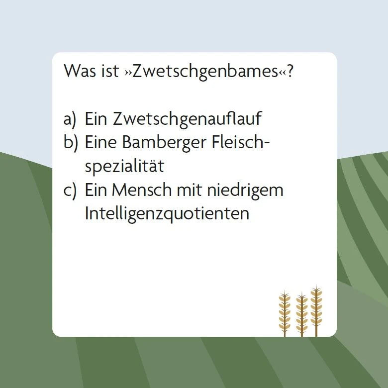 Das Franken-Quiz (Neuausgabe) – Ansicht