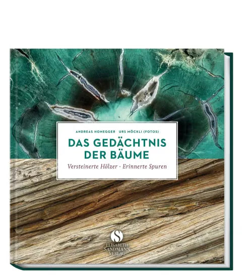 Buchcover von 'Das Gedächtnis der Bäume' - Gebundene Ausgabe von Andreas Honegger