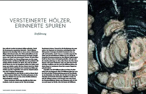 Produktansicht: Das Gedächtnis der Bäume (Gebundene Ausgabe)