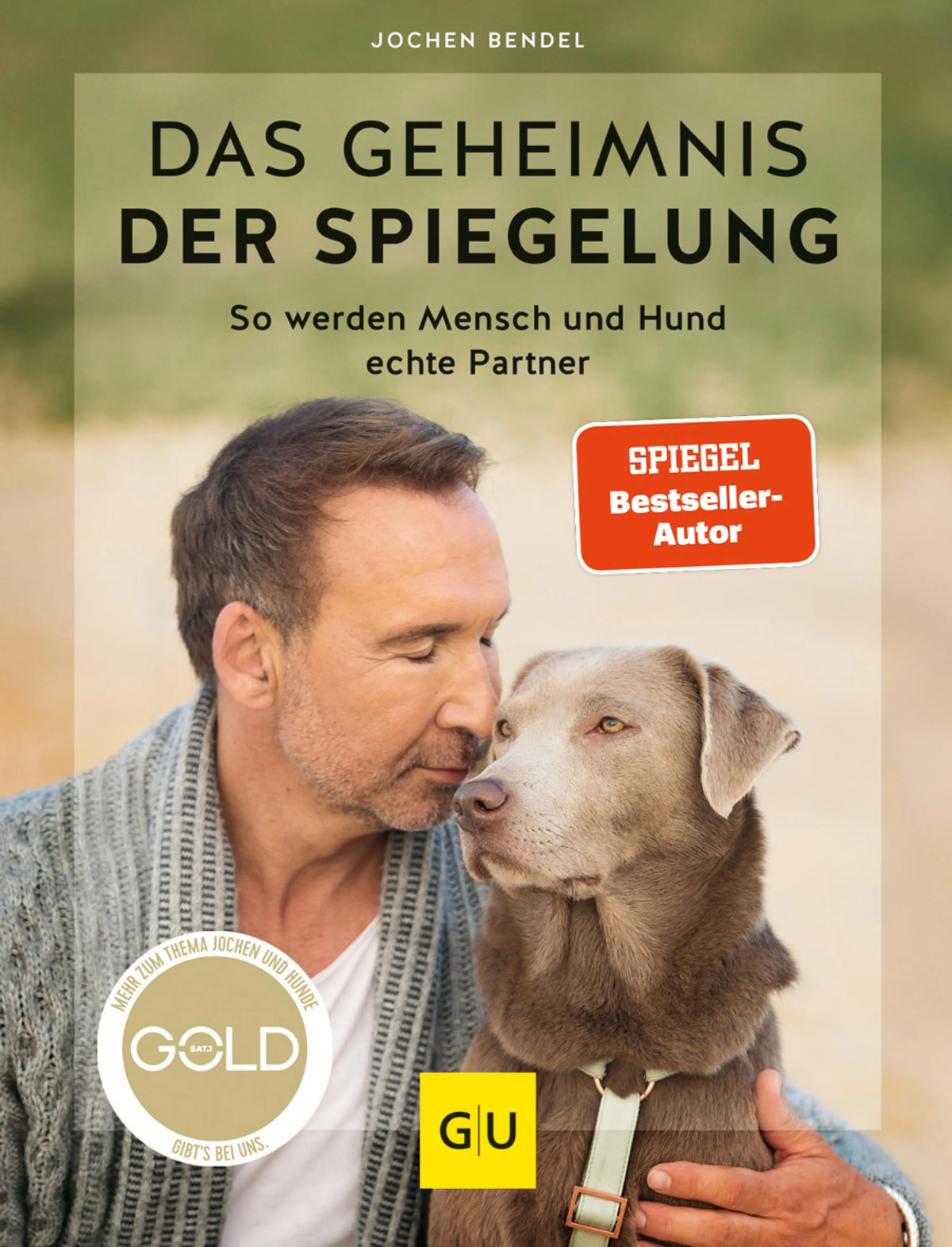 Cover: Das Geheimnis der Spiegelung (E-Book) von Jochen Bendel