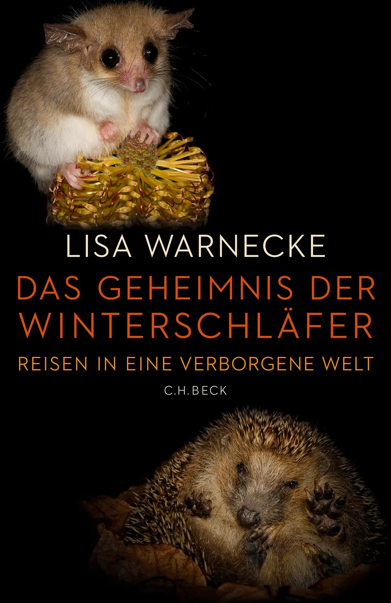 Buchcover von 'Das Geheimnis der Winterschläfer' - Gebundene Ausgabe von Lisa Warnecke