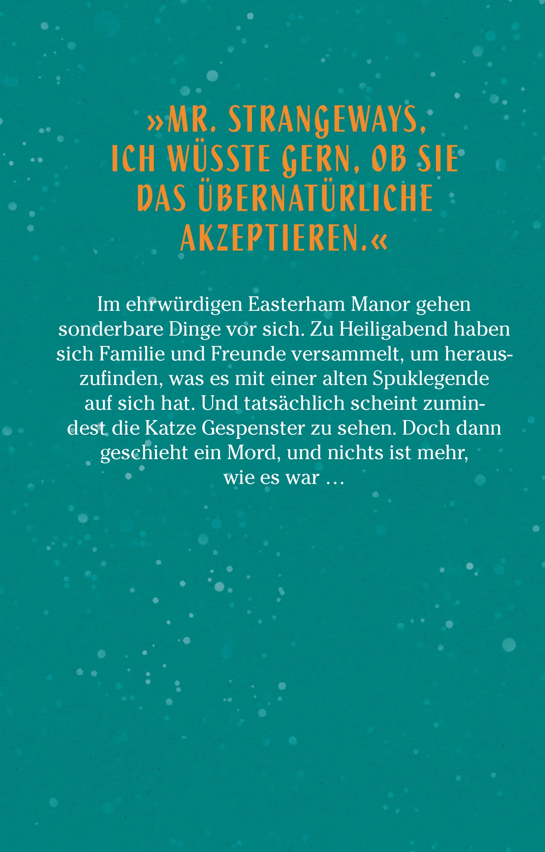 Buchrückseite von 'Das Geheimnis des Schneemanns' mit Klappentext - Gebundene Ausgabe