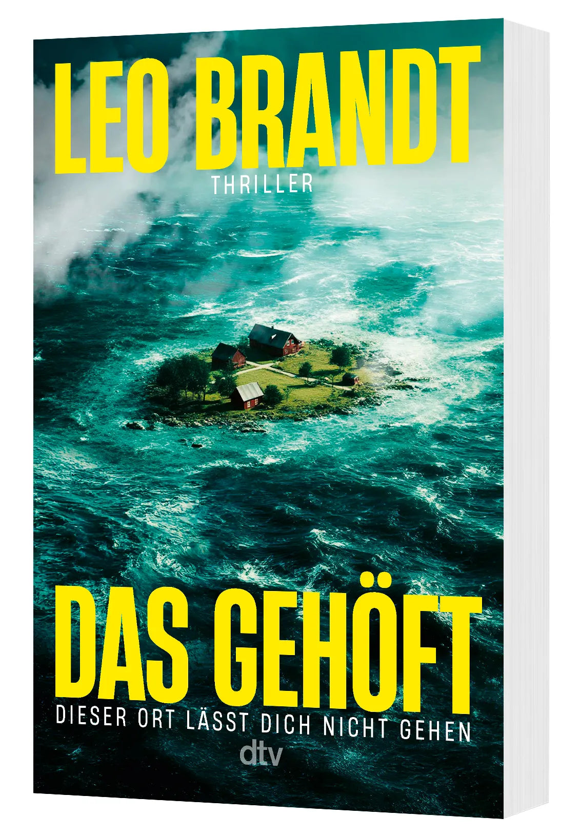 Leo Brandt - Das Gehöft