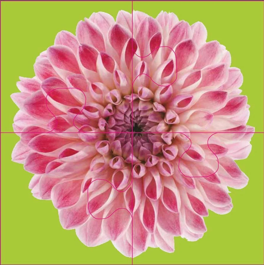 Das "Gelingt-immer"-Puzzle Blumen. Das Puzzle-Spiel für Senioren mit Demenz – Ansicht