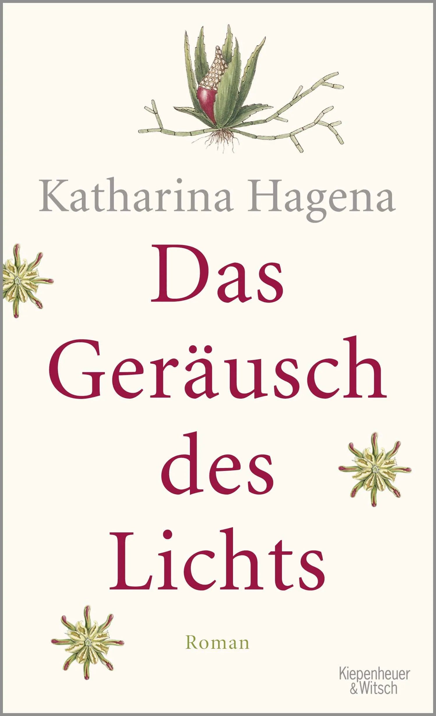 Buchcover von 'Das Geräusch des Lichts' - Gebundene Ausgabe von Katharina Hagena