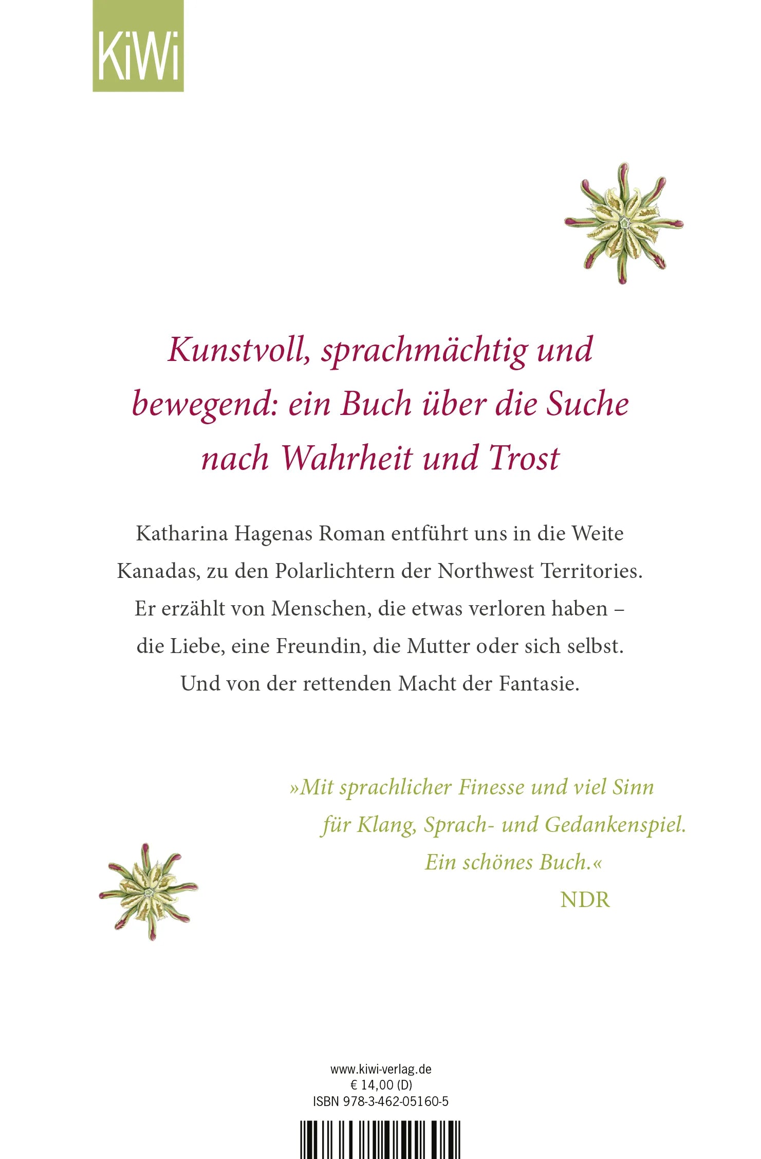 Buchrückseite von 'Das Geräusch des Lichts' mit Klappentext - Taschenbuch