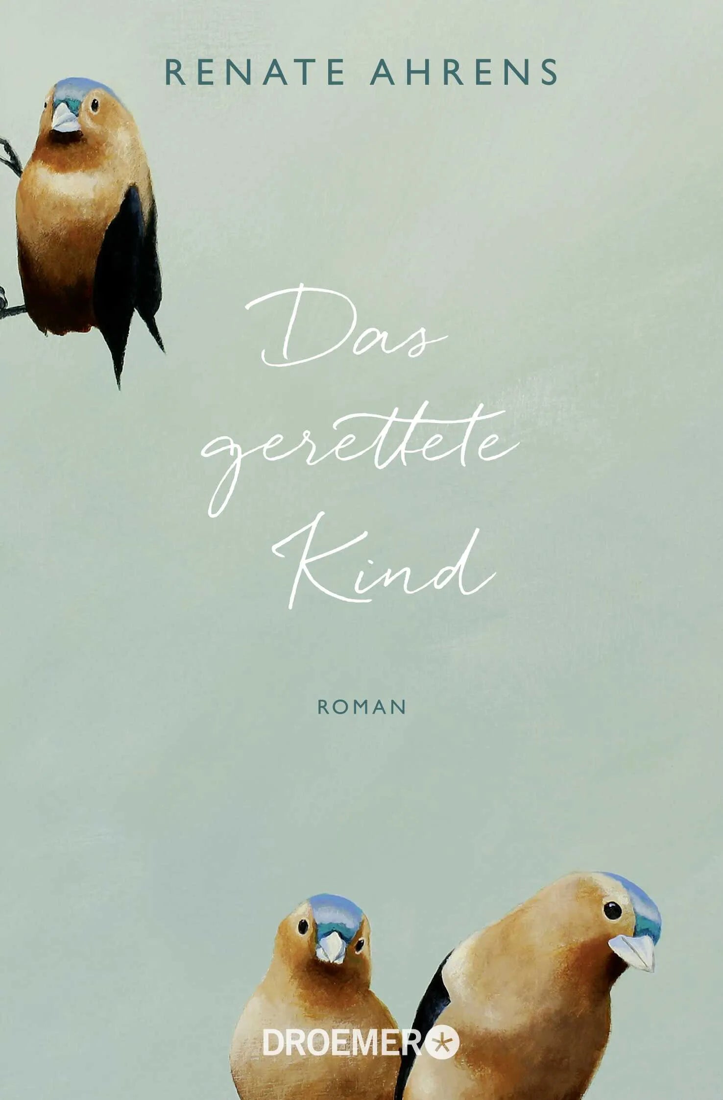 Buchcover von 'Das gerettete Kind' - Taschenbuch von Renate Ahrens