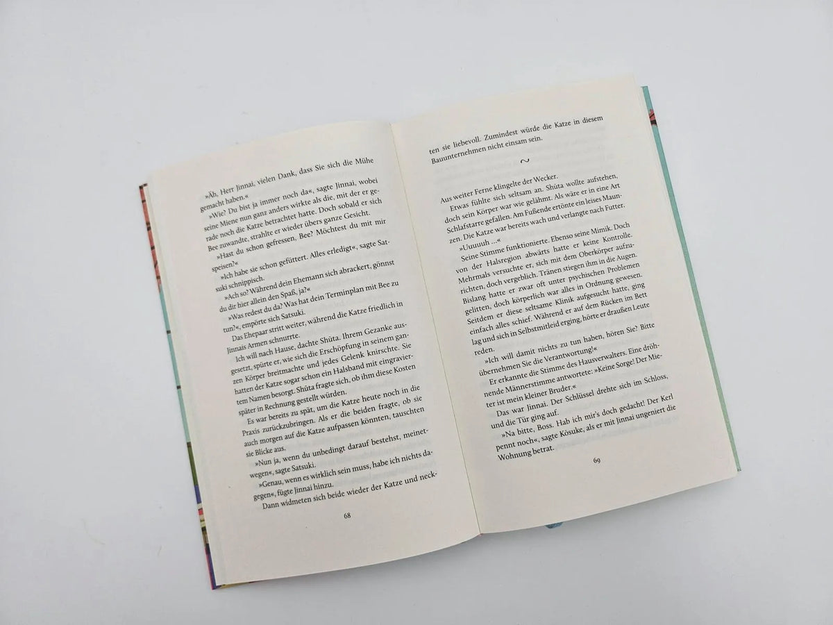 Detailansicht: Das Glück bringt eine Katze (Hardcover)