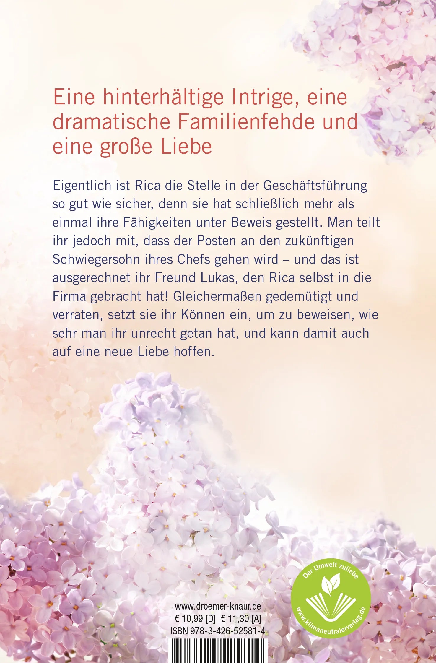 Buchrückseite von 'Das Glück in der Ferne' mit Klappentext - Taschenbuch