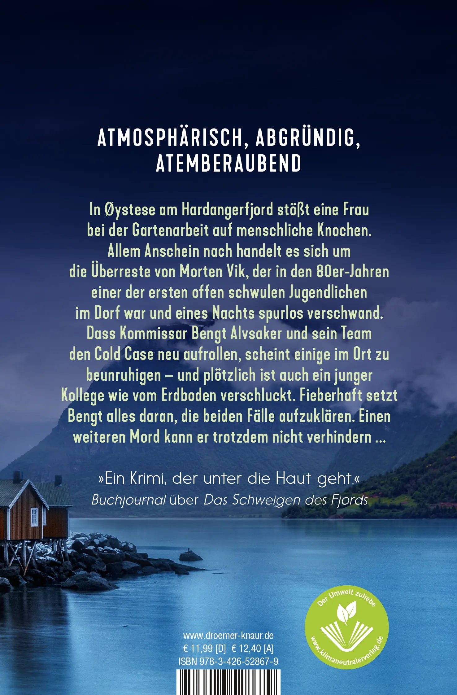 Buchrückseite von 'Das Grab am Fjord' mit Klappentext - Taschenbuch