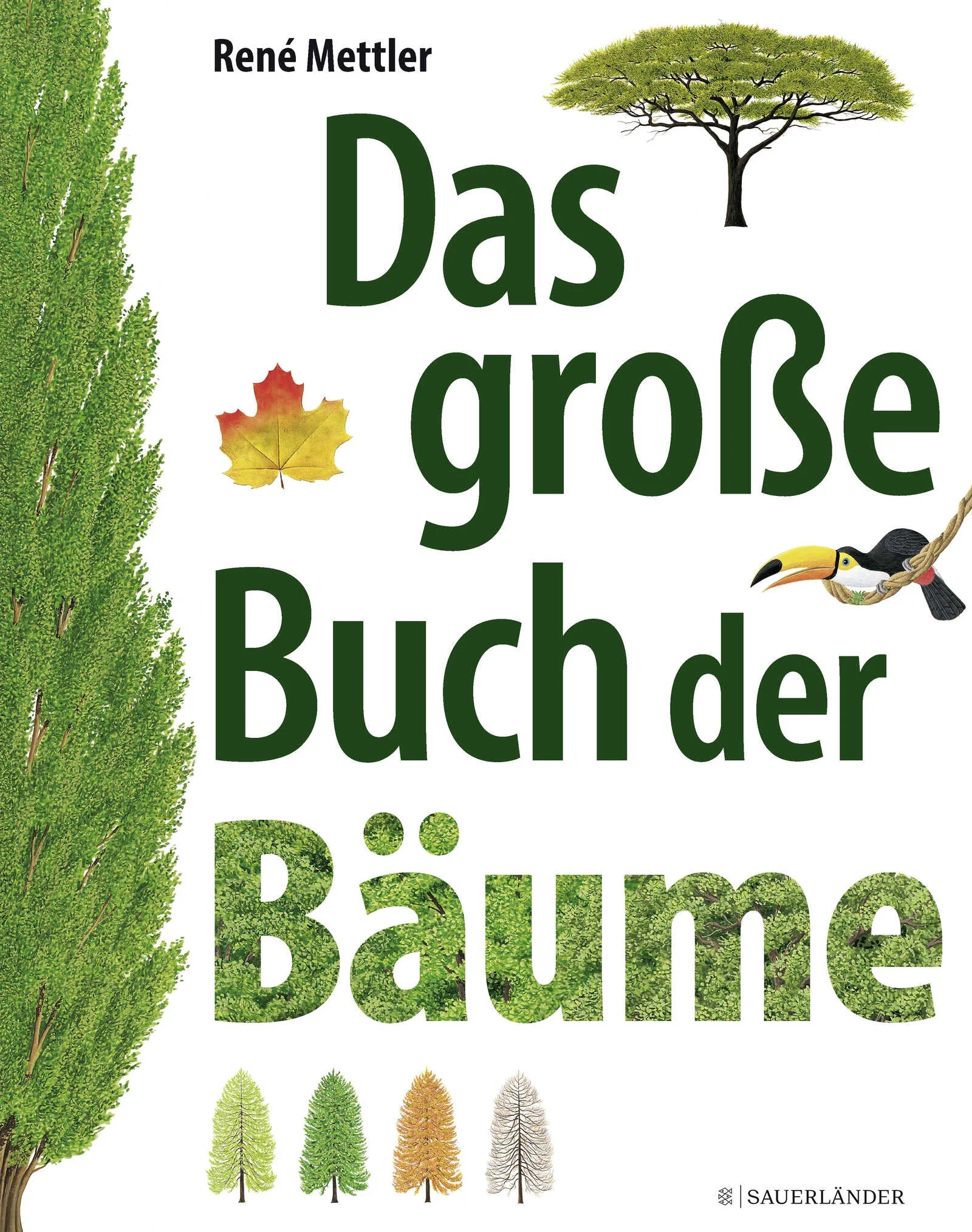 Buchcover von 'Das große Buch der Bäume' - Gebundene Ausgabe von René Mettler