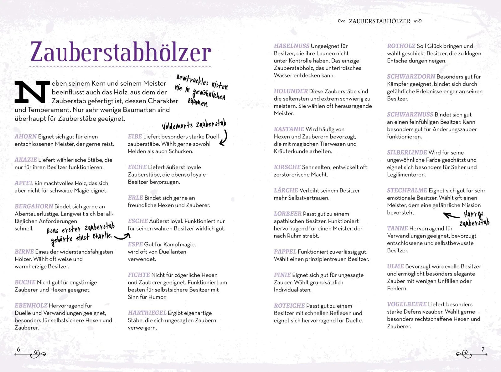 Innenansicht von 'Das große Buch der Zaubersprüche und magischen Gegenstände für Potter-Fans' - Taschenbuch