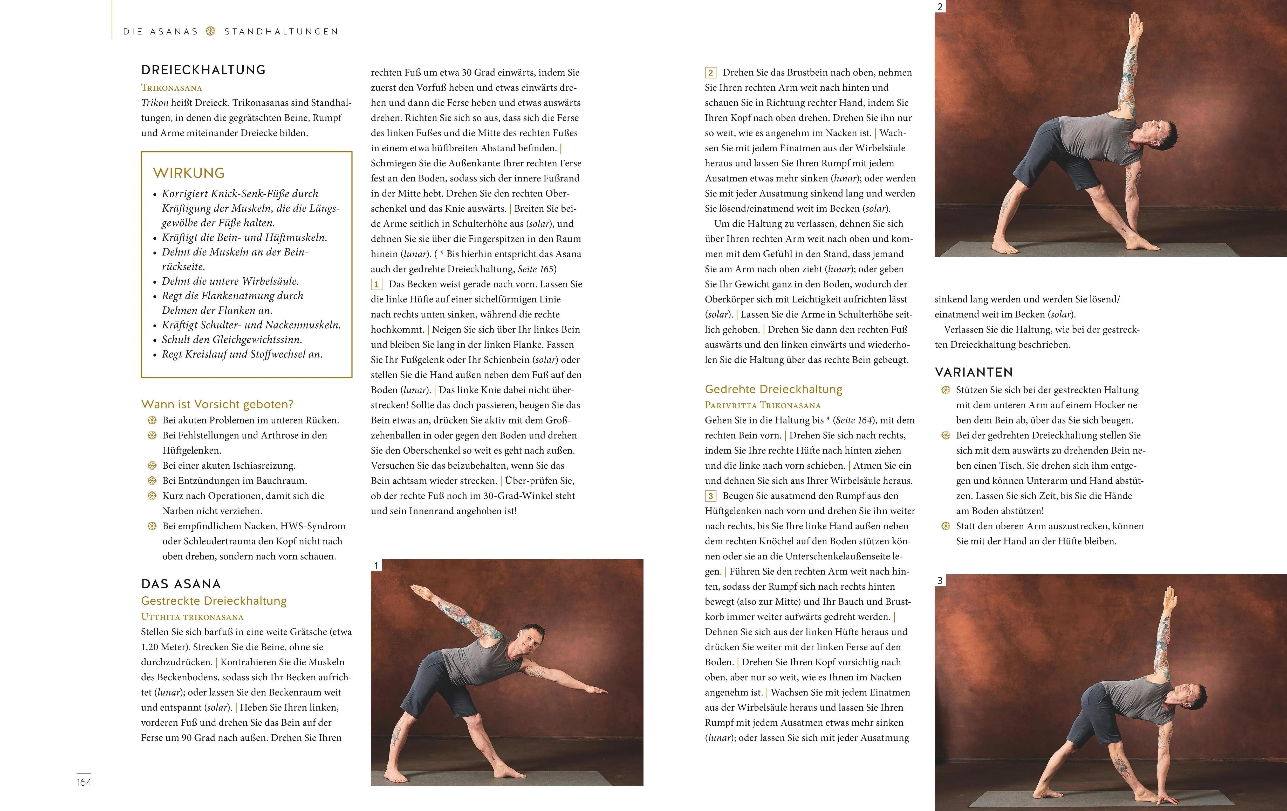 Anna Trökes - Das große Buch vom Yoga