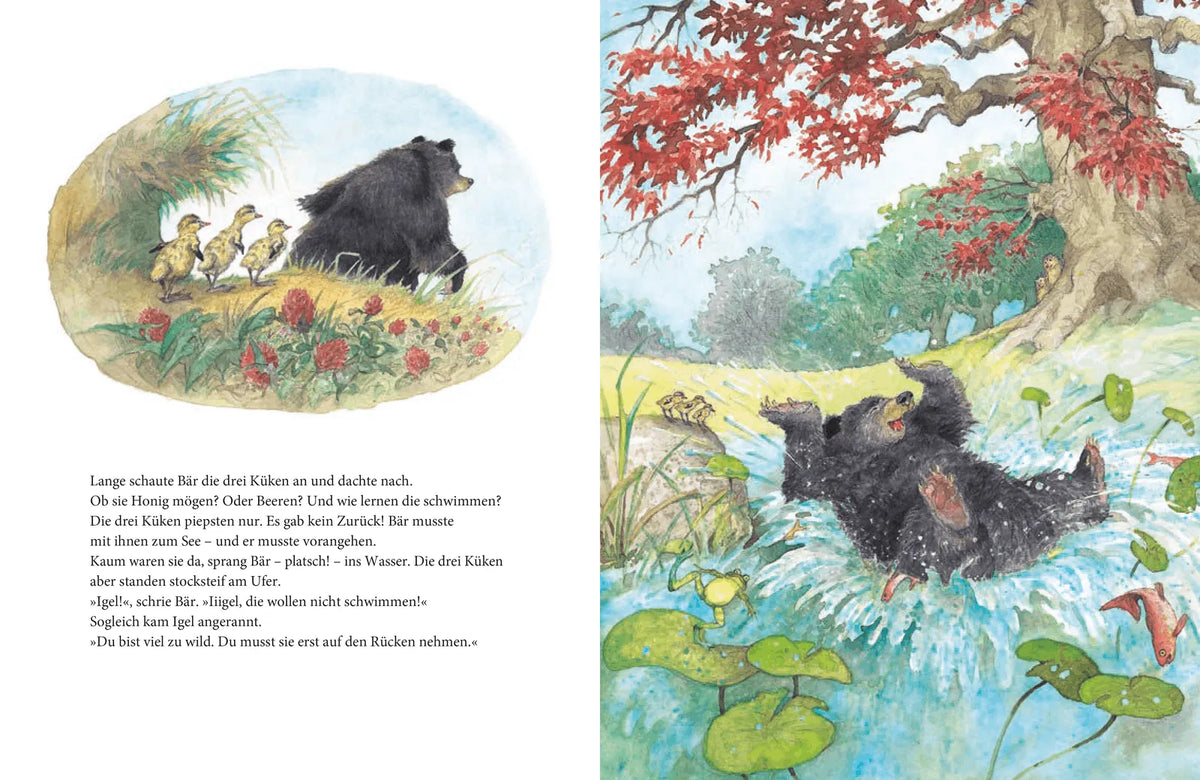 Detailansicht: Das Große Buch von Bär und Igel (Hardcover)