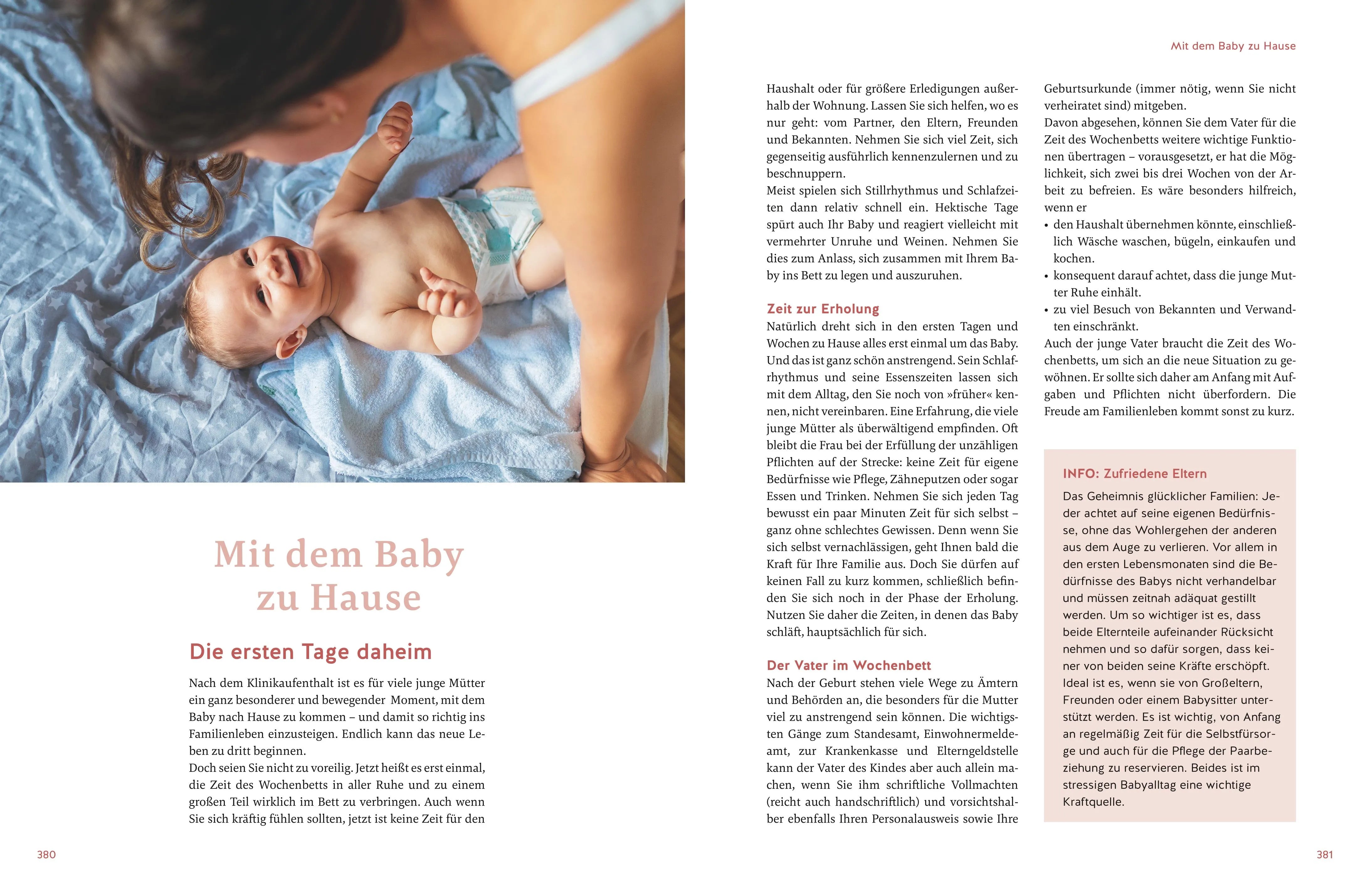 Abbildung von 'Das große Buch zur Schwangerschaft'