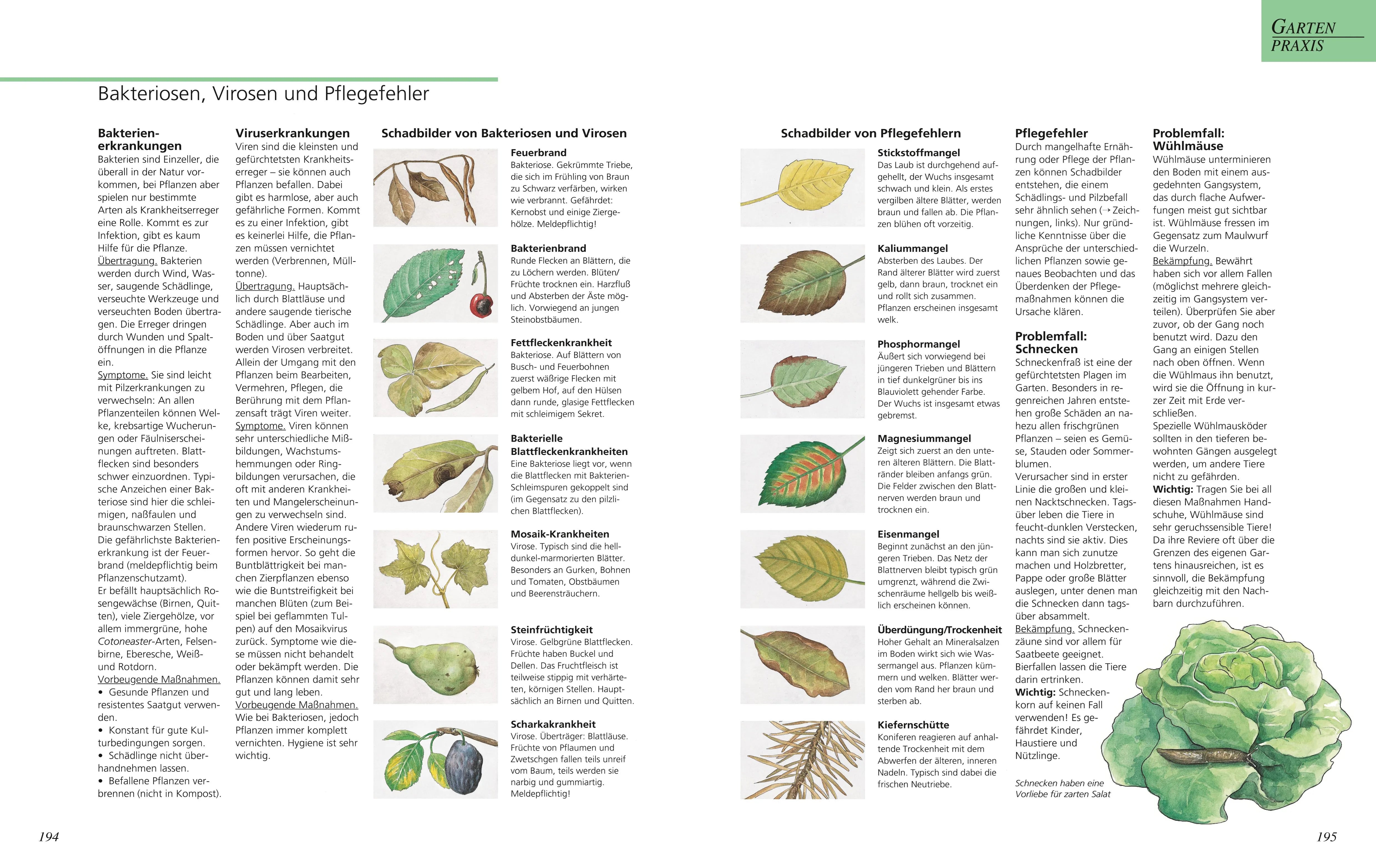 Abbildung von 'Das große GU Gartenbuch'