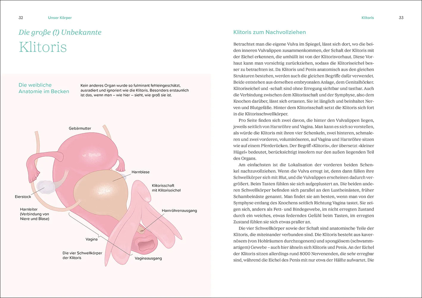 Detailansicht: Das große Gynbuch (Taschenbuch)