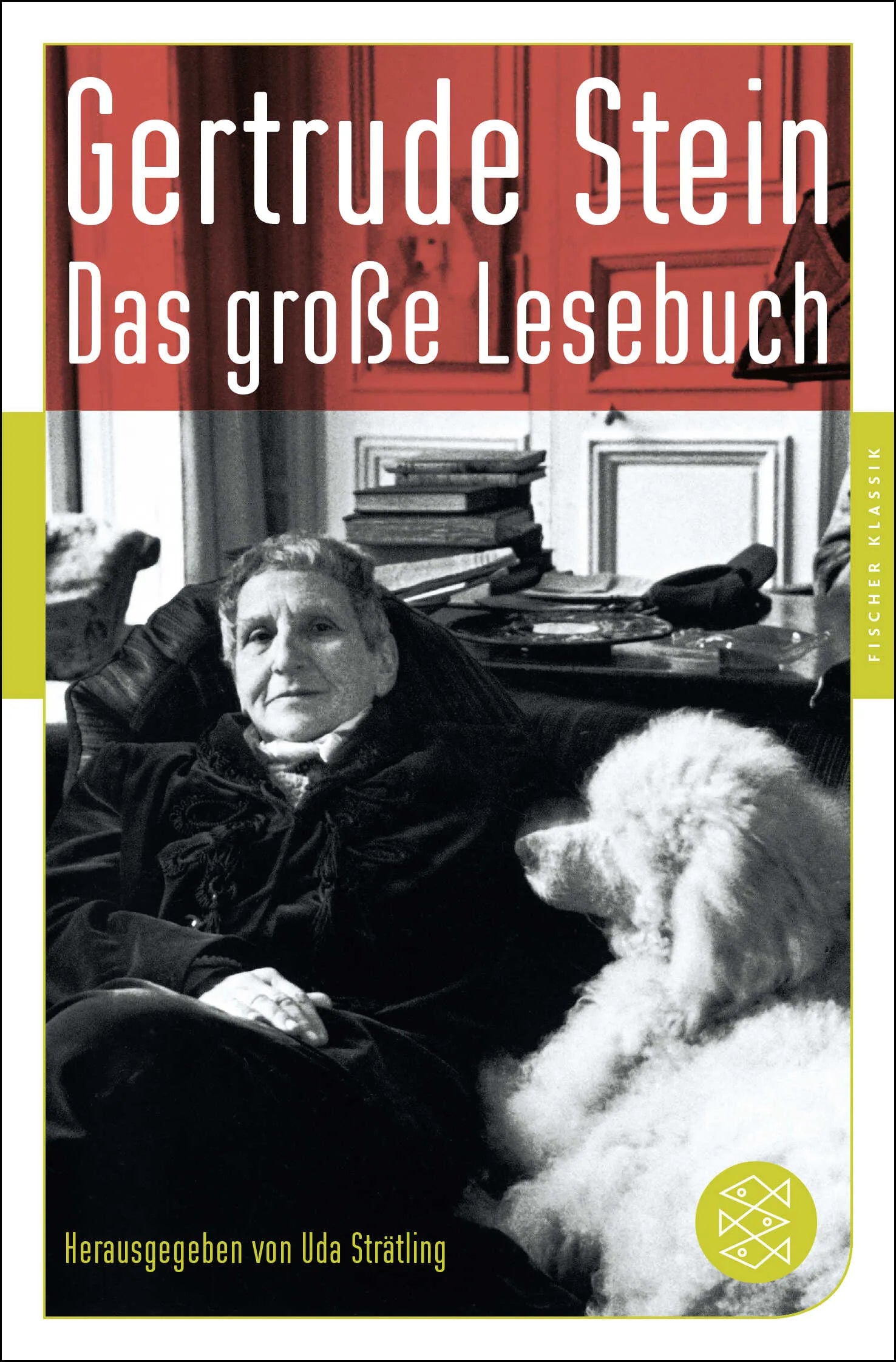 Buchcover von 'Das große Lesebuch' - Taschenbuch von Gertrude Stein