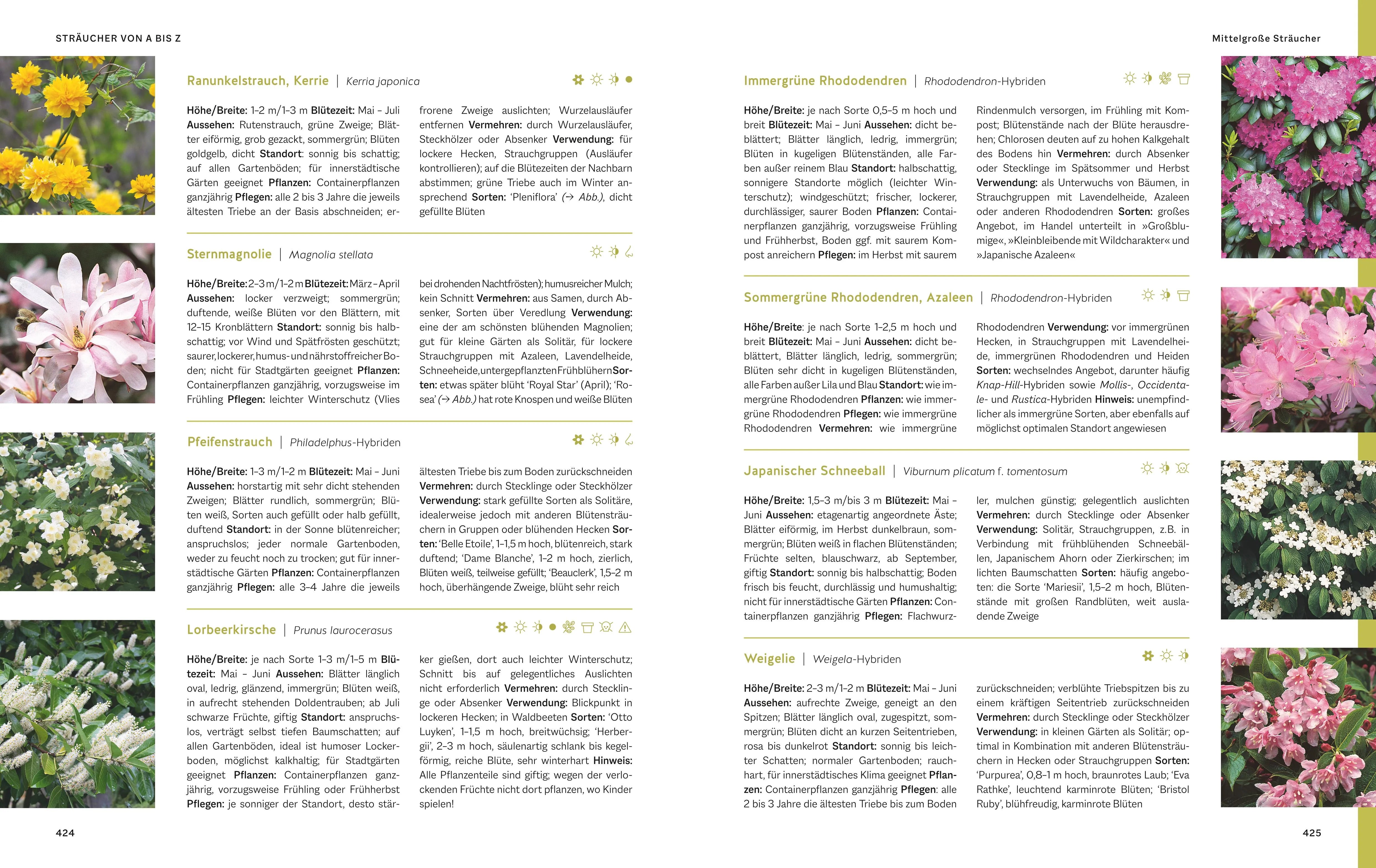 Produktansicht: Das große Praxishandbuch Garten (Gebundene Ausgabe)