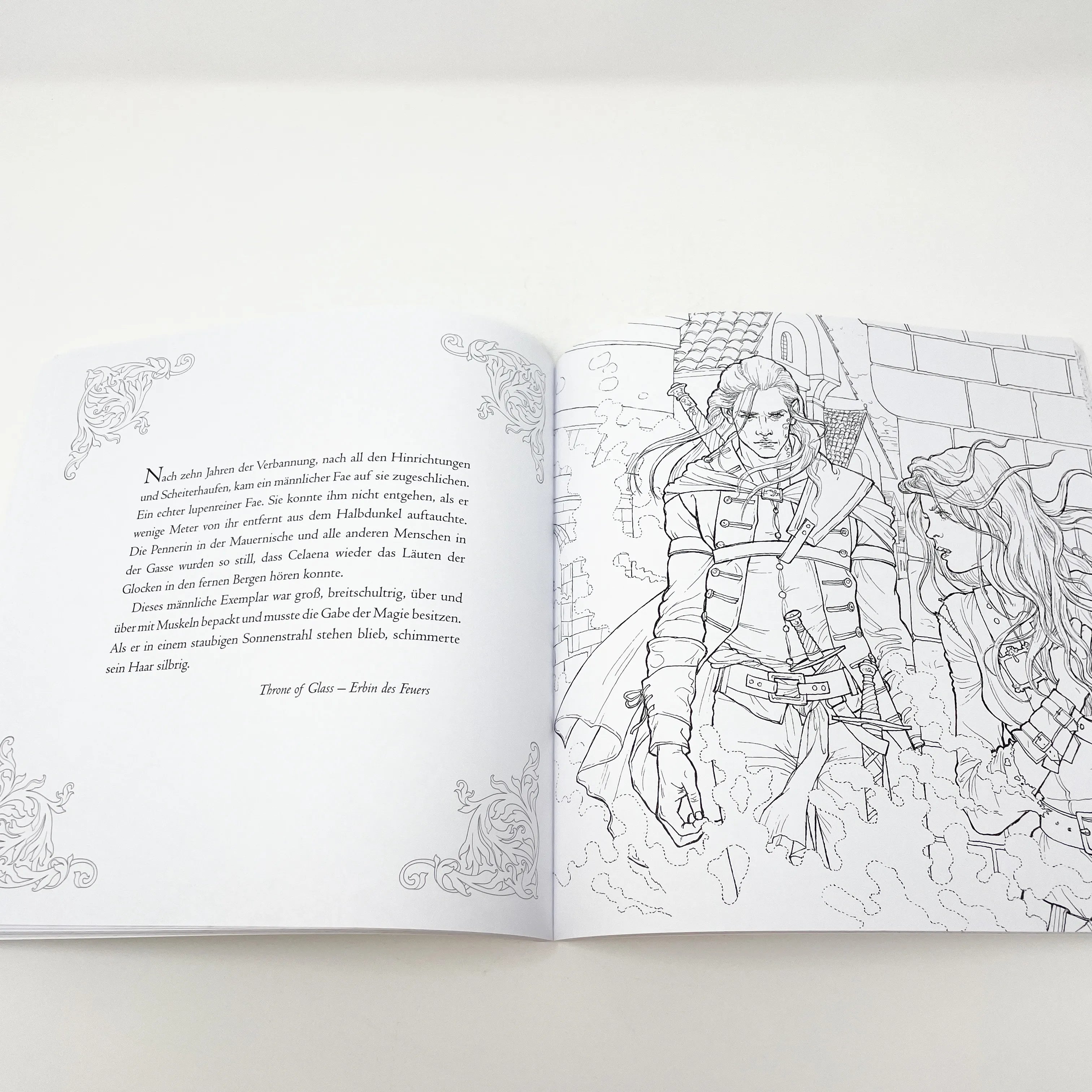 Sarah J. Maas - Das große Throne of Glass-Fanbuch