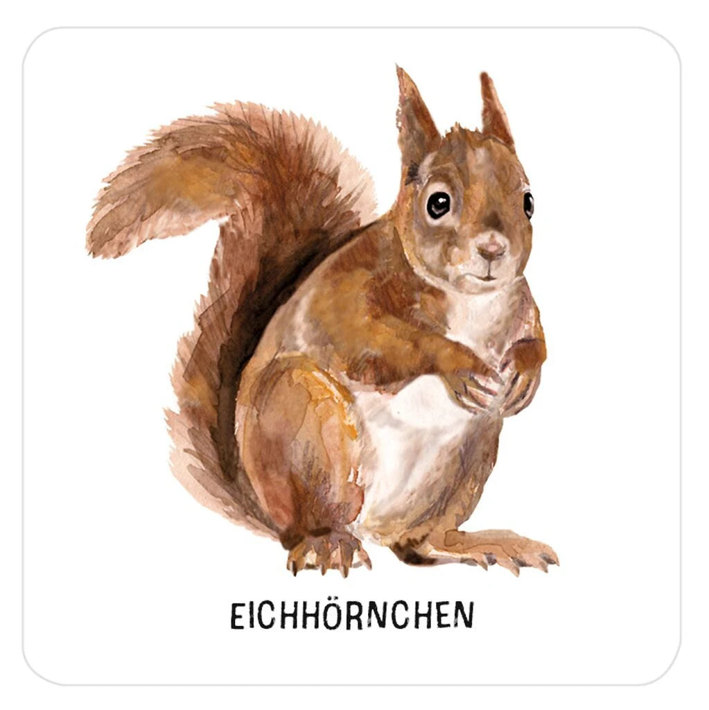 Das große Tierspuren Memo – Ansicht