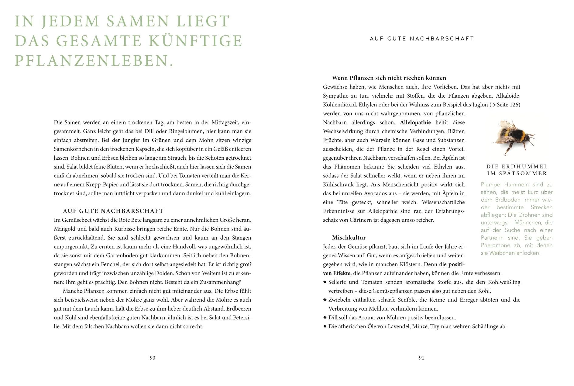 Ina Sperl - Das grüne Wunder