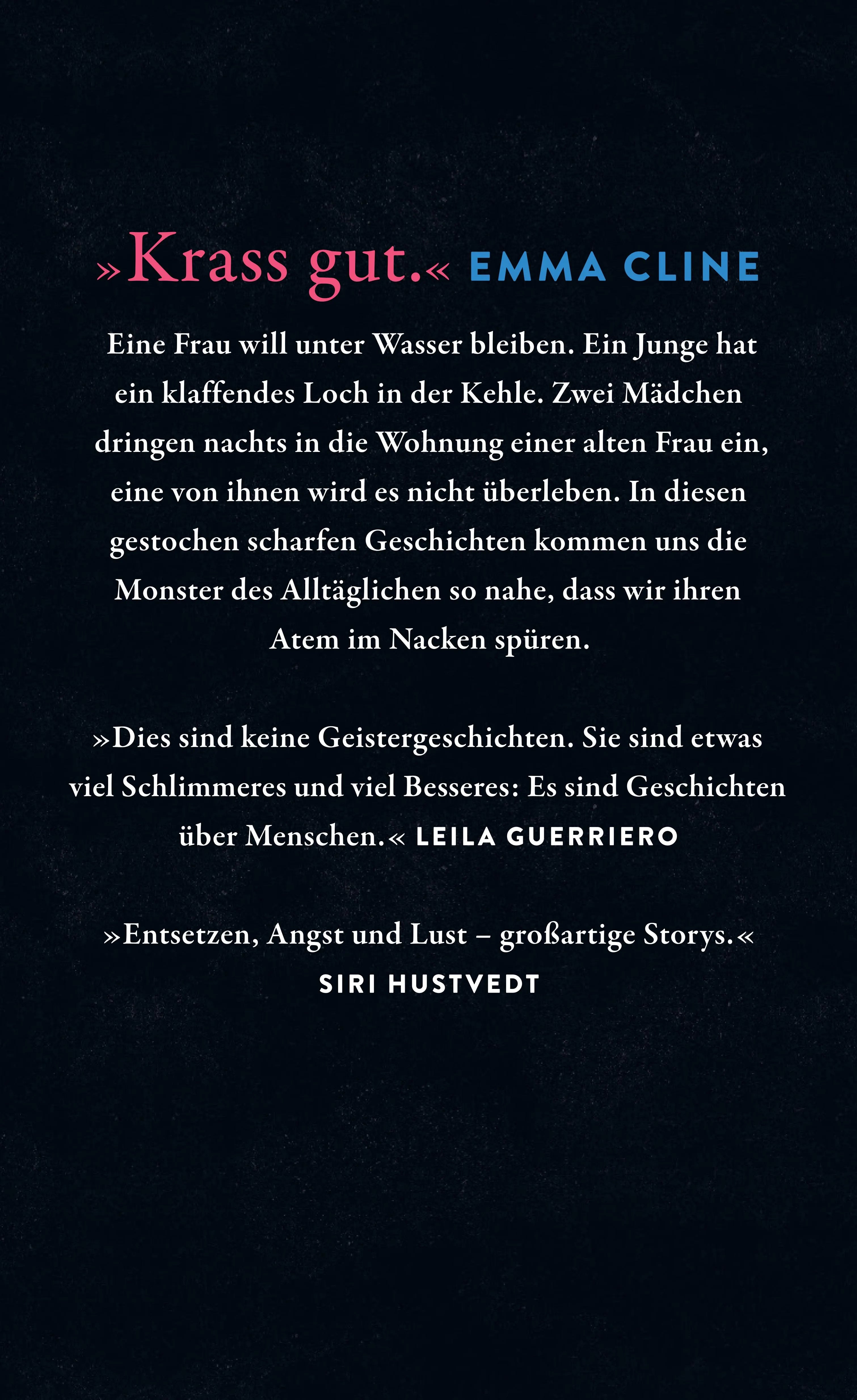 Rückseite: Das gute Übel (Hardcover)