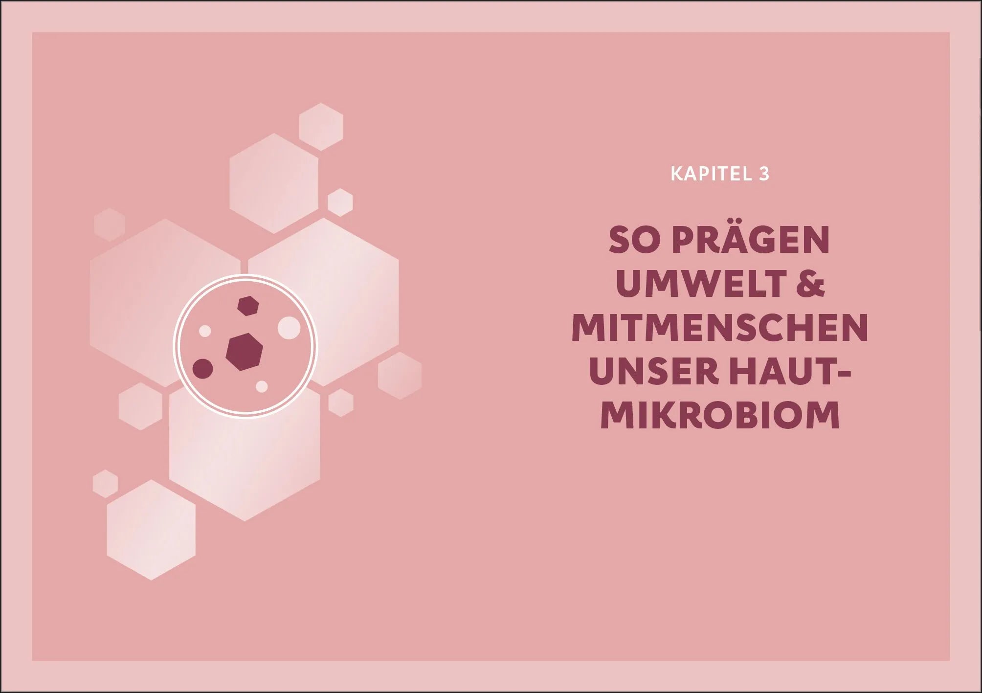 Detailansicht: Das Hautmikrobiom (Paperback)