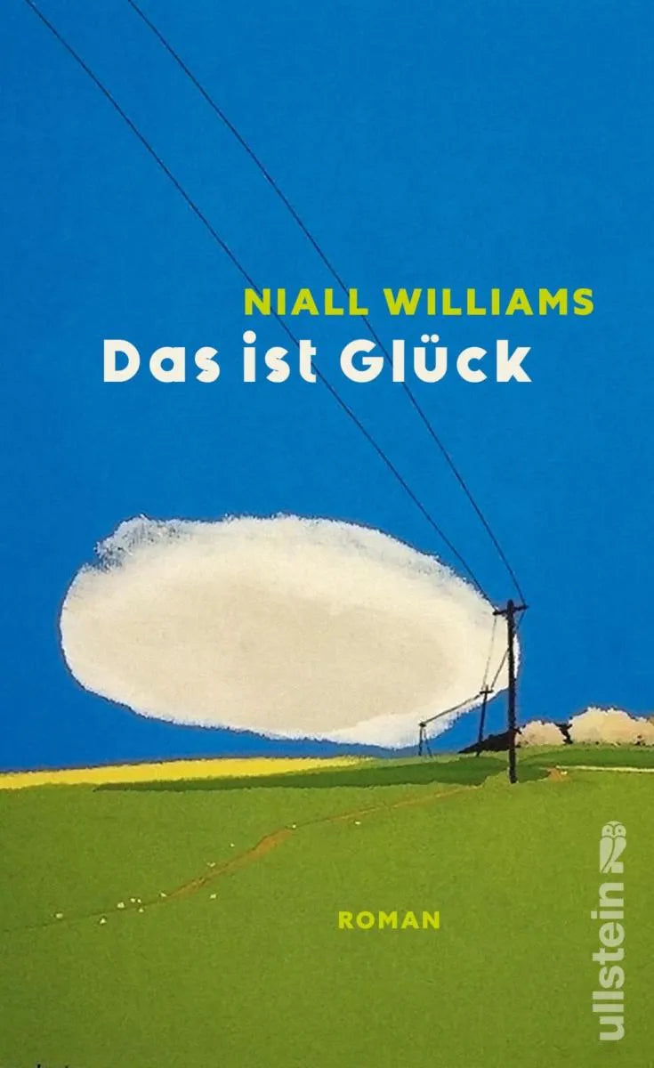 Cover: Das ist Glück (E-Book) von Niall Williams