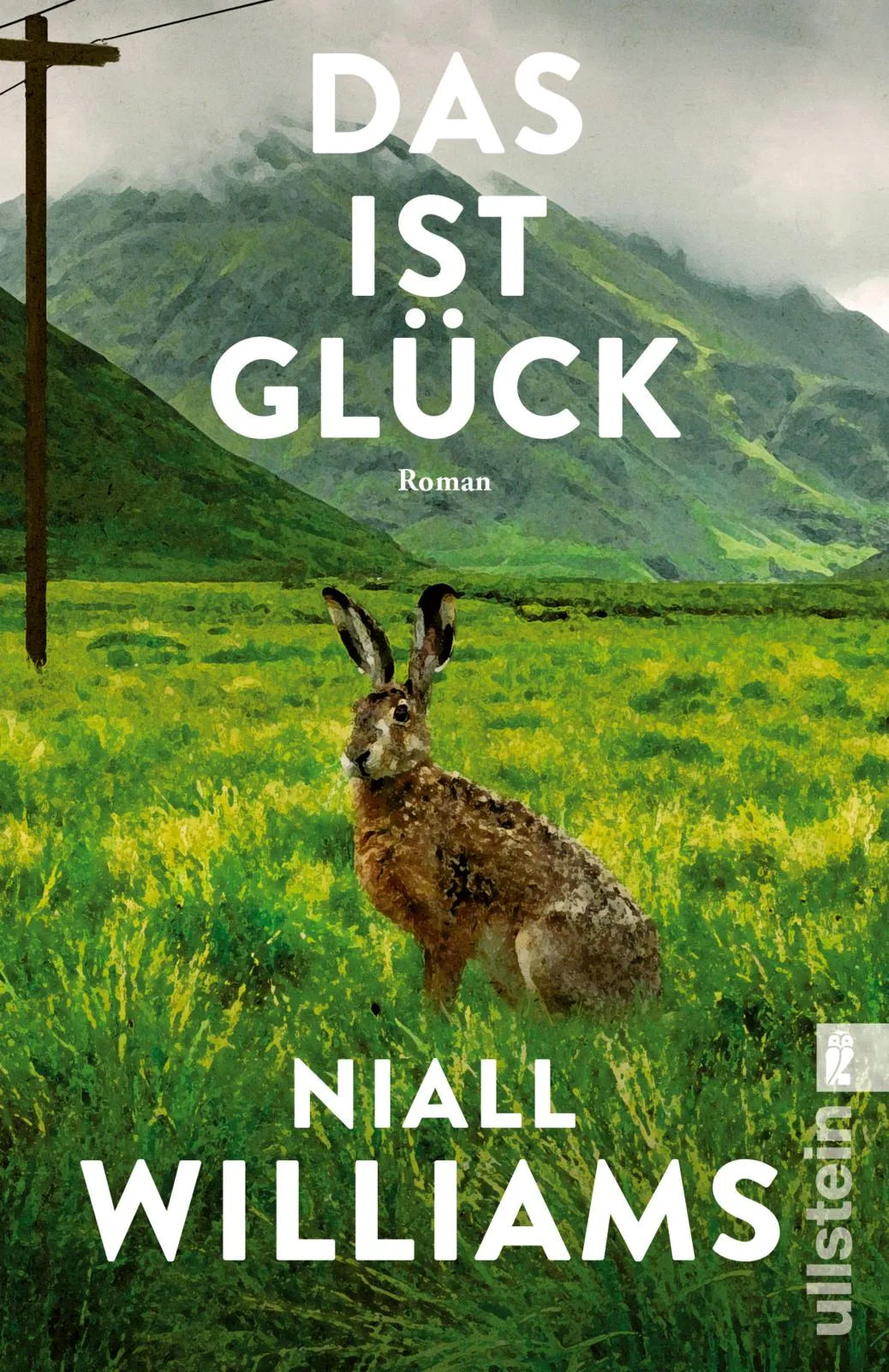 Cover: Das ist Glück (Taschenbuch) von Niall Williams