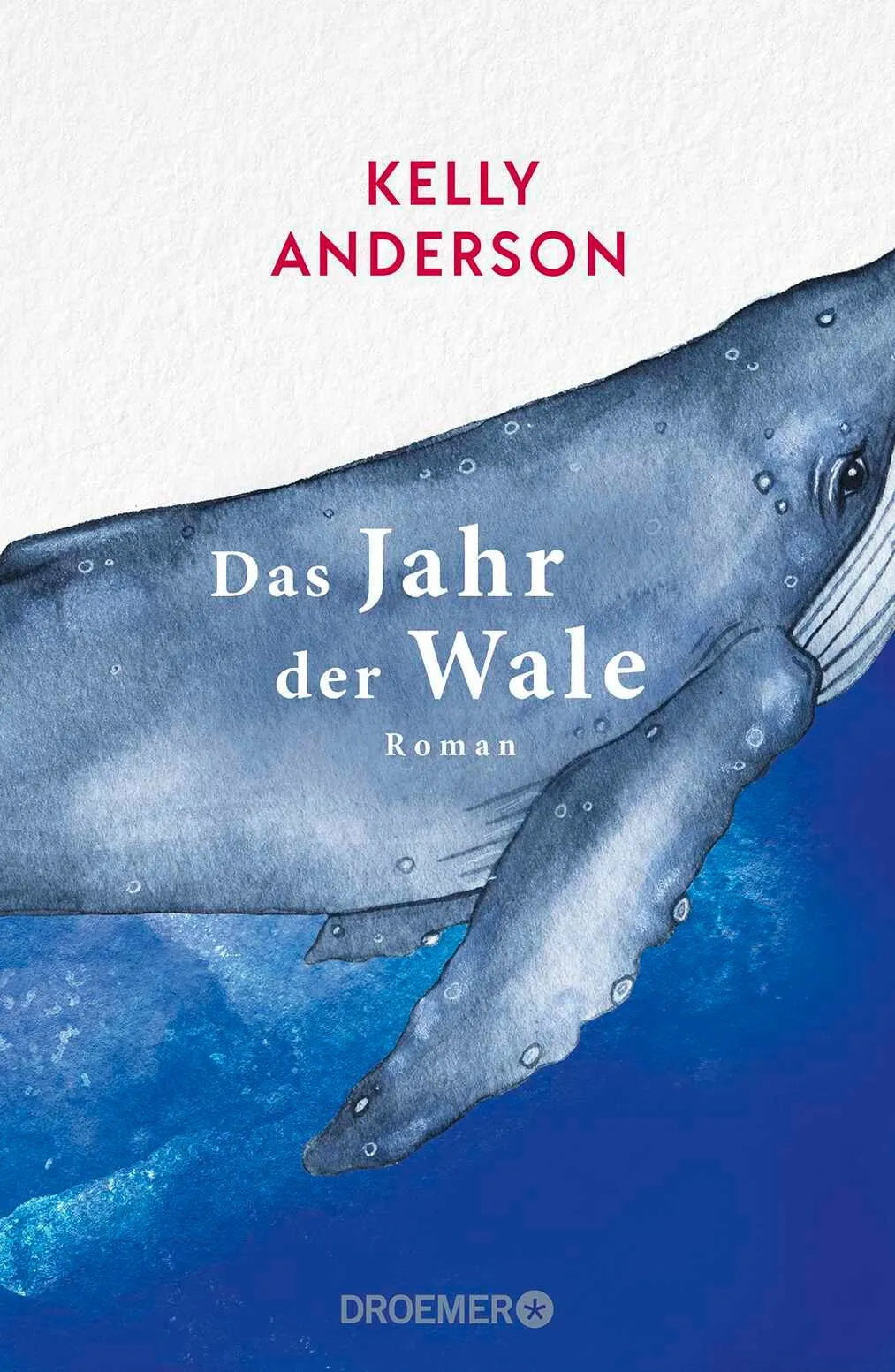 Cover: Das Jahr der Wale (Hardcover) von Kelly Anderson
