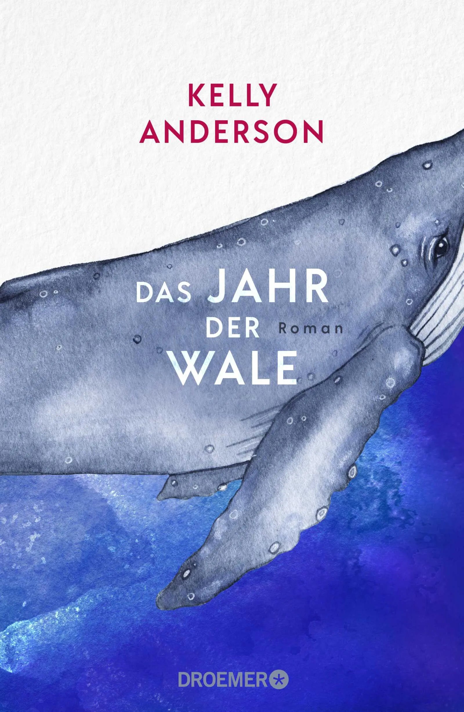 Cover: Das Jahr der Wale (Hardcover) von Kelly Anderson
