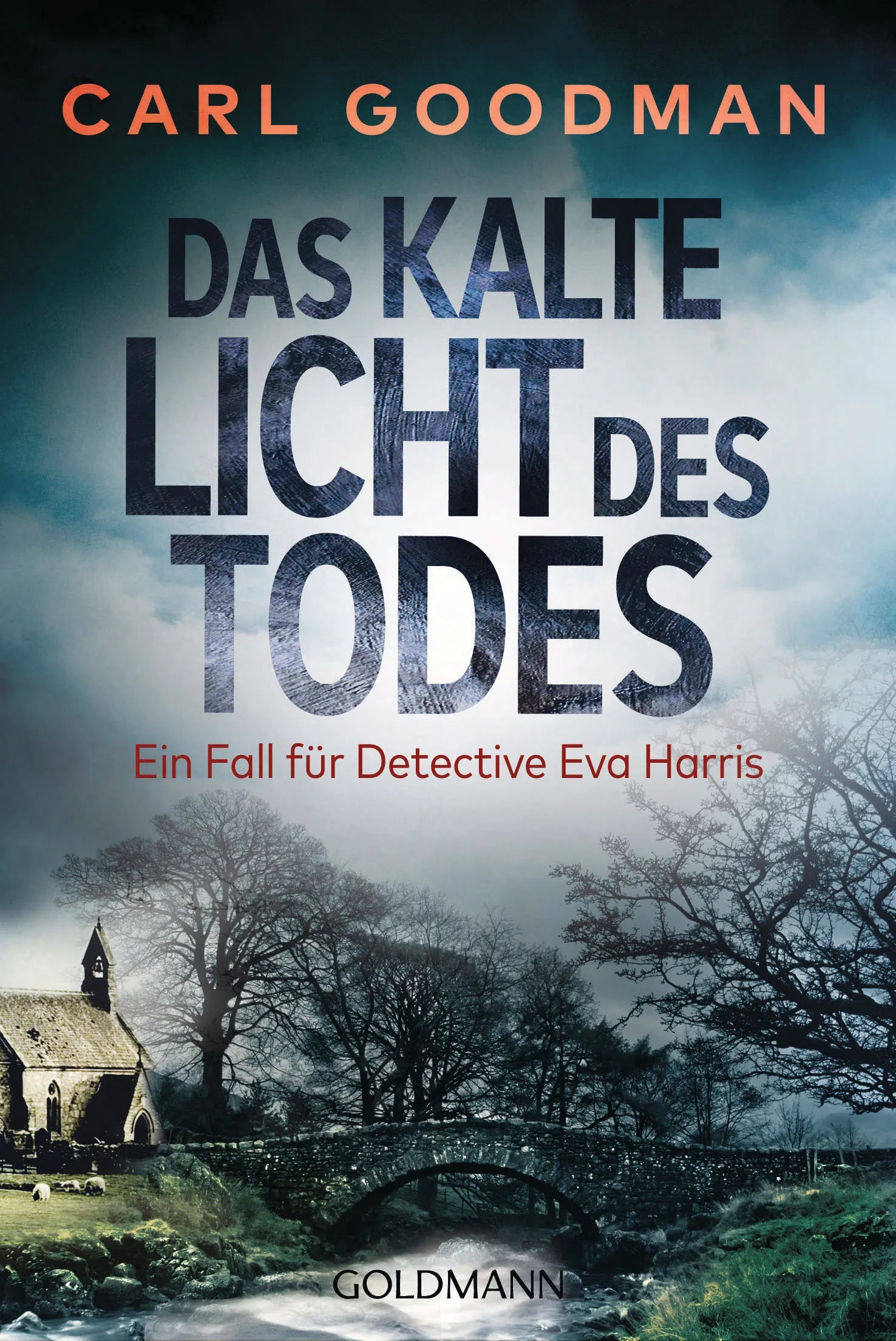 Cover: Das kalte Licht des Todes (E-Book) von Carl Goodman