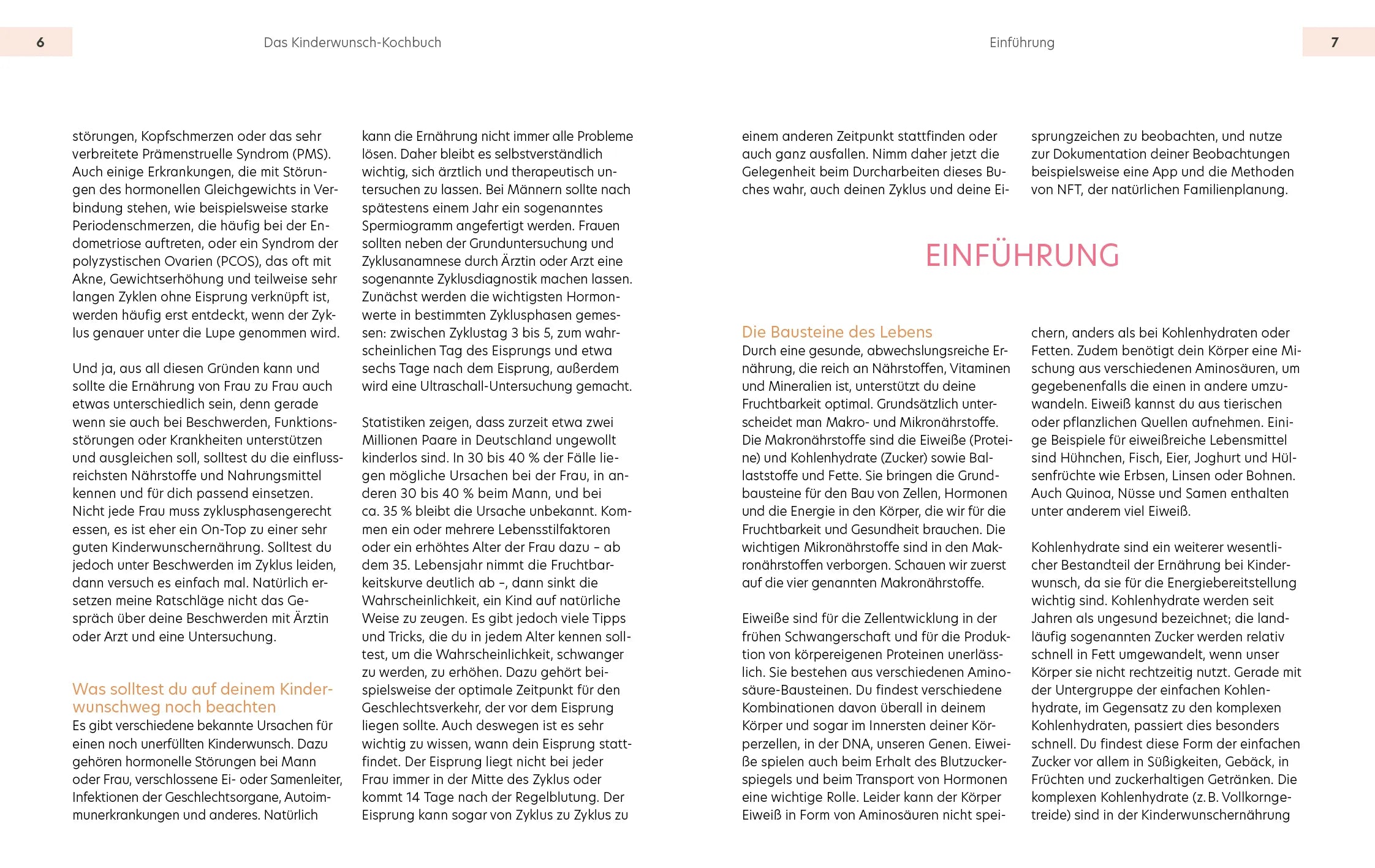 Innenansicht von 'Das Kinderwunsch-Kochbuch' - Taschenbuch