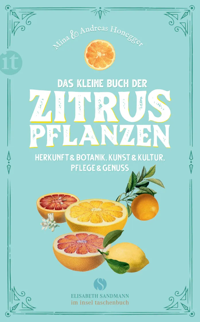 Buchcover von 'Das kleine Buch der Zitruspflanzen' - Taschenbuch von Mina Honegger