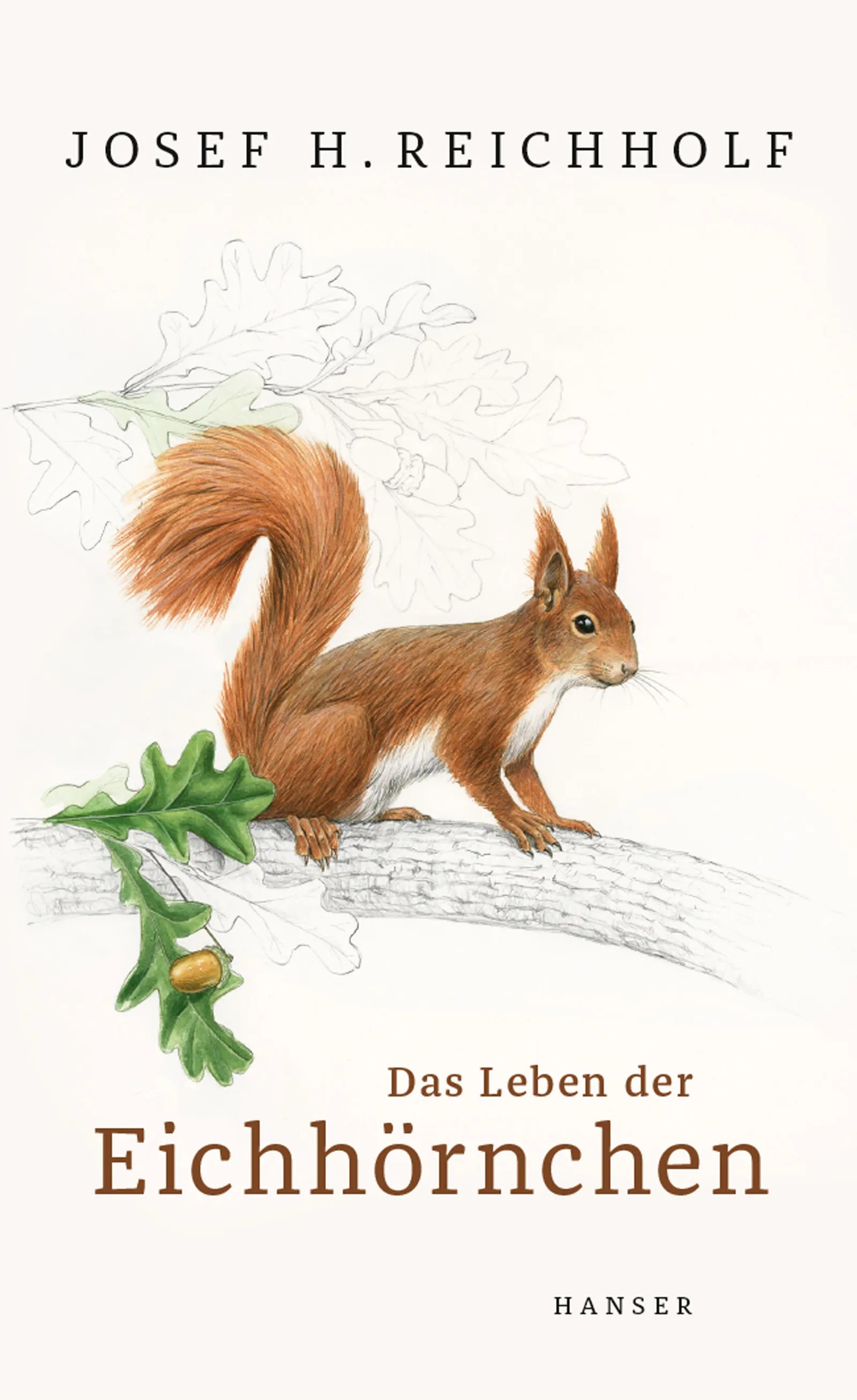 Buchcover von 'Das Leben der Eichhörnchen' - Gebundene Ausgabe von Josef H. Reichholf