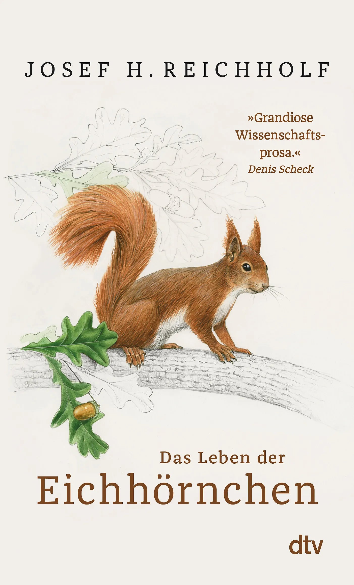 Buchcover von 'Das Leben der Eichhörnchen' - Taschenbuch von Josef H. Reichholf