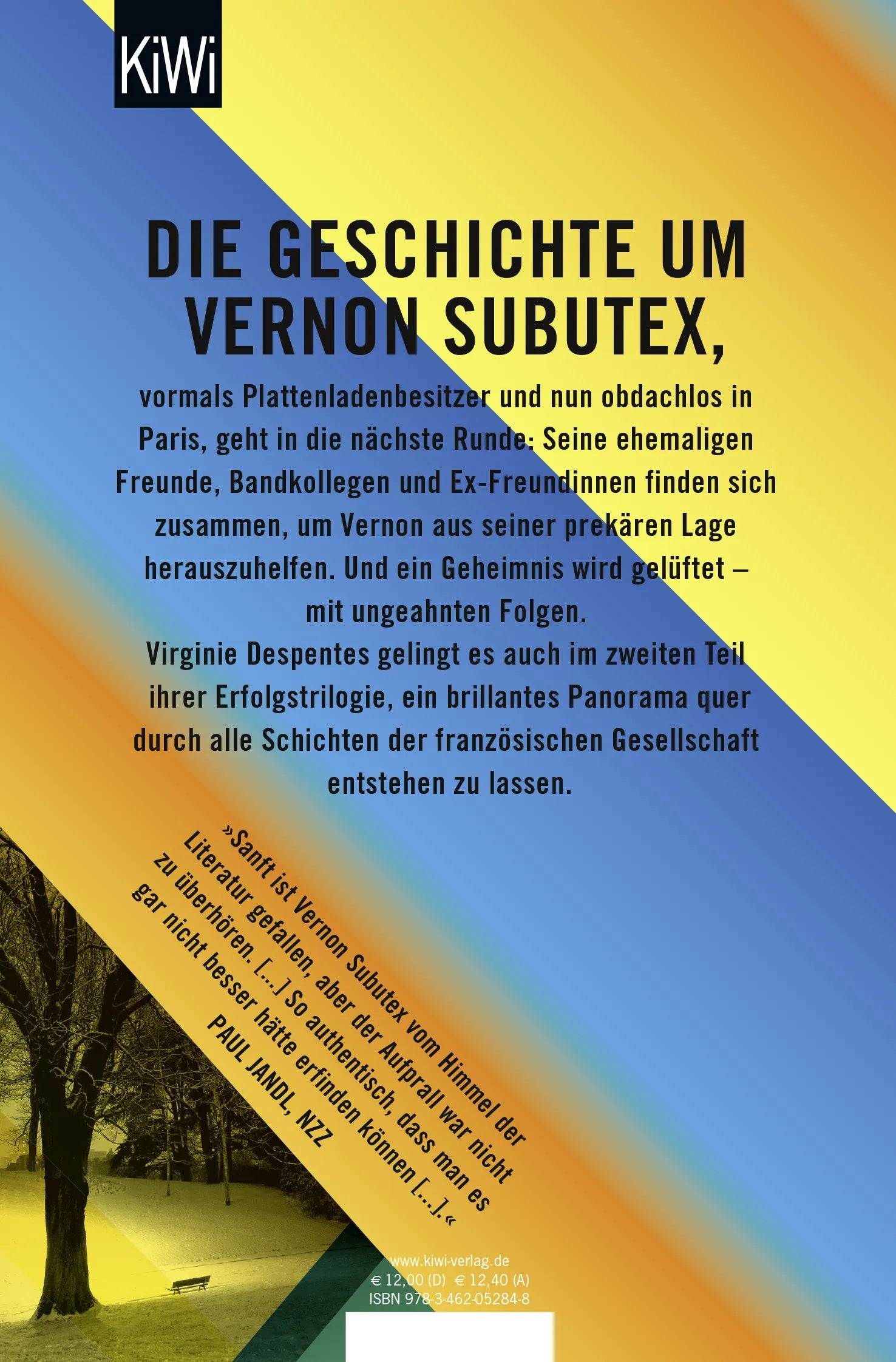 Buchrückseite von 'Das Leben des Vernon Subutex 2' mit Klappentext - Taschenbuch