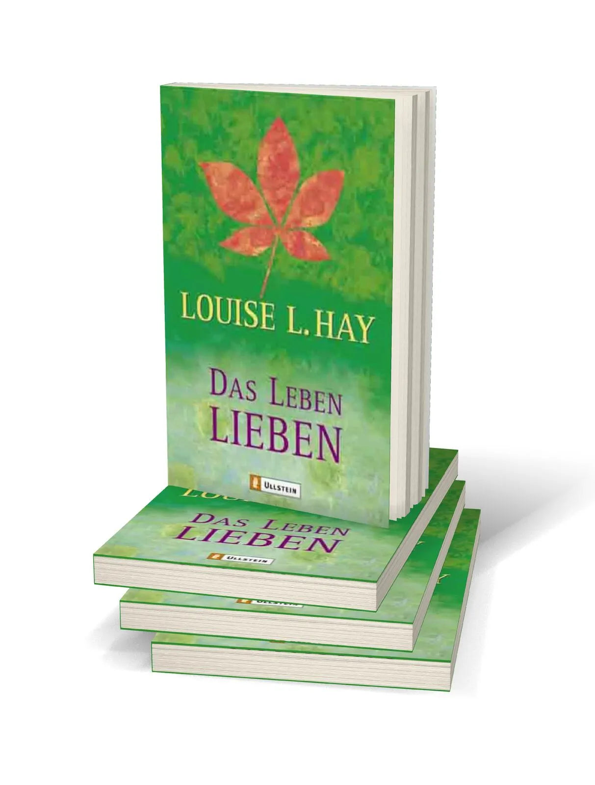 Produktansicht: Das Leben lieben (Taschenbuch)