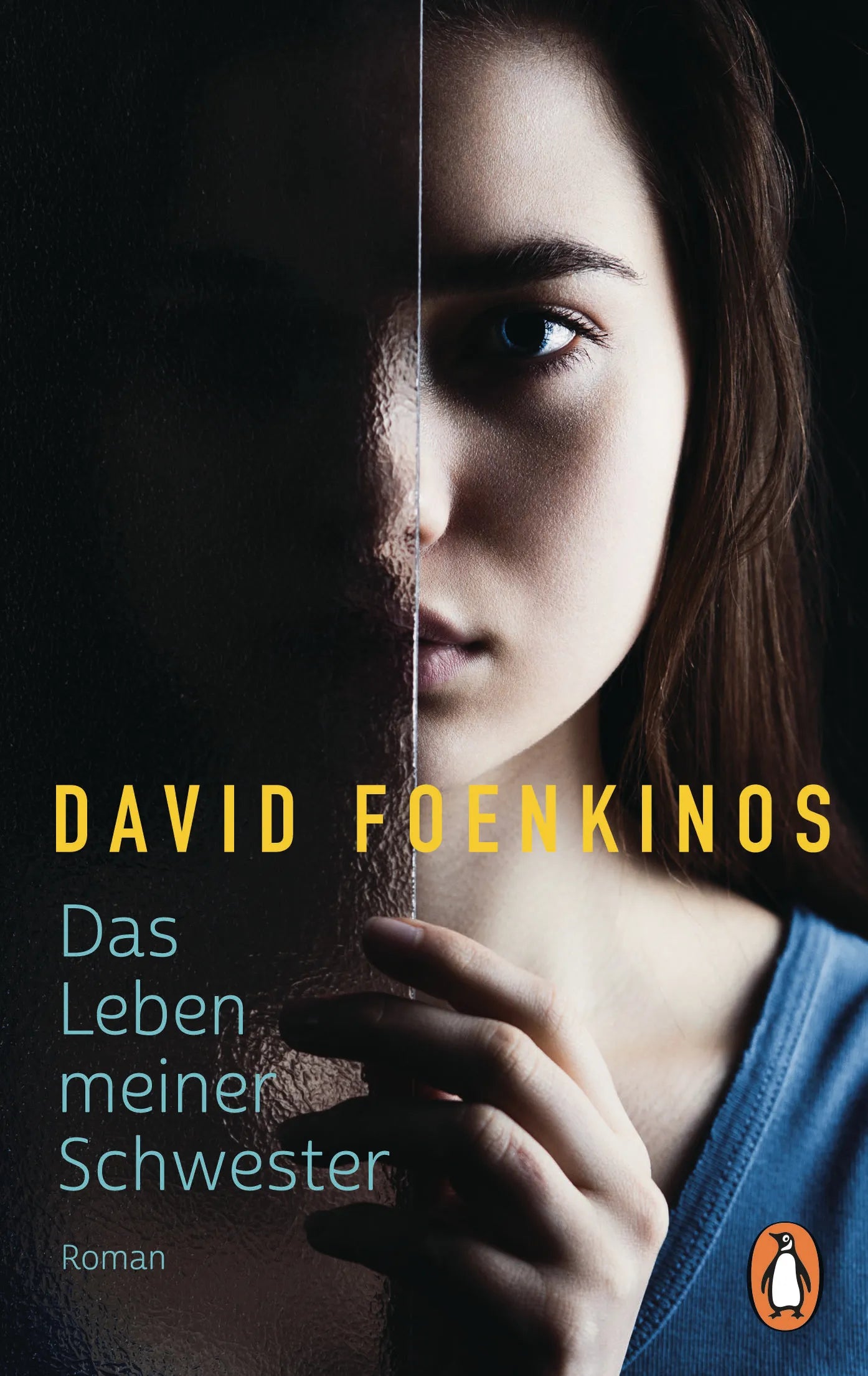 Cover: Das Leben meiner Schwester (E-Book) von David Foenkinos